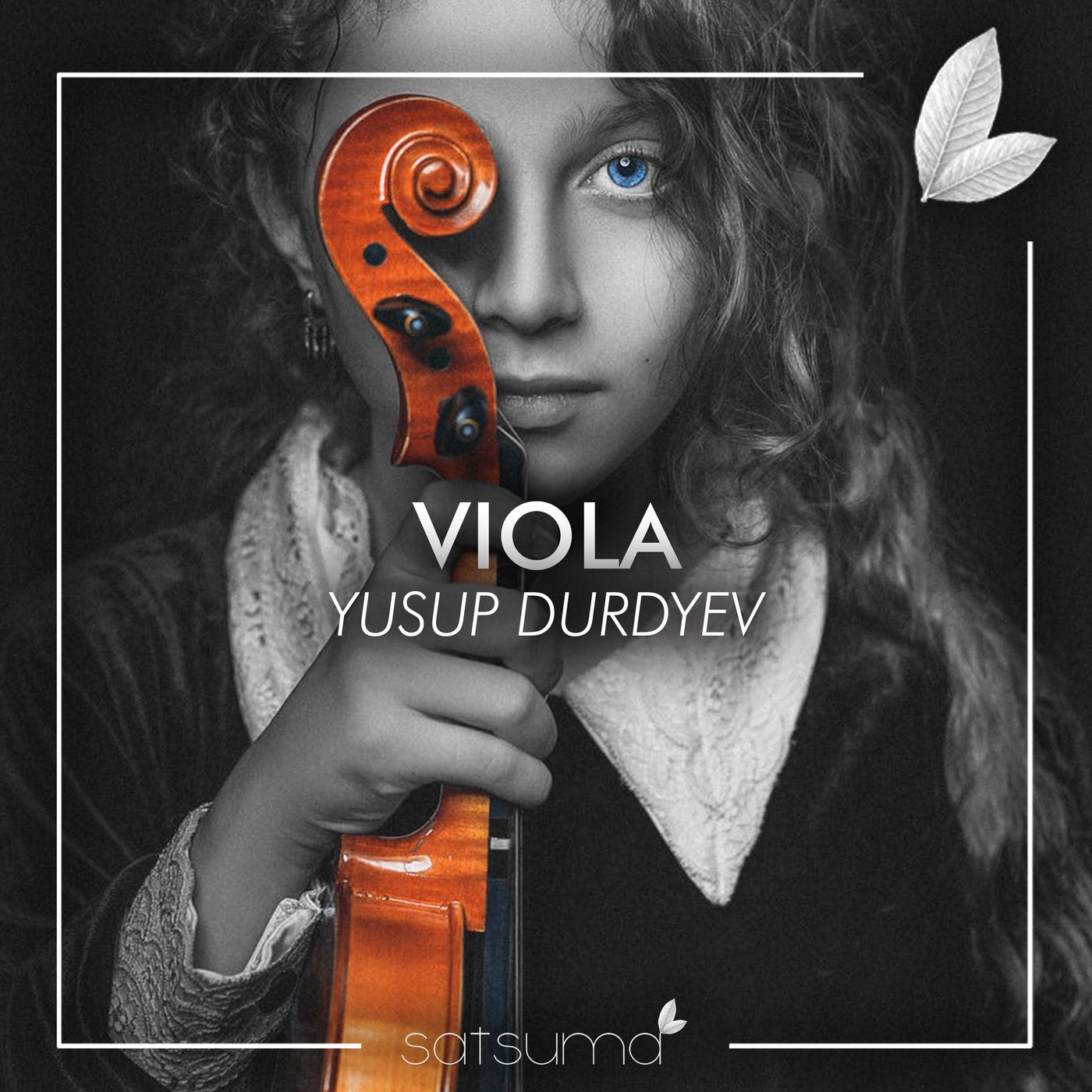 Viola