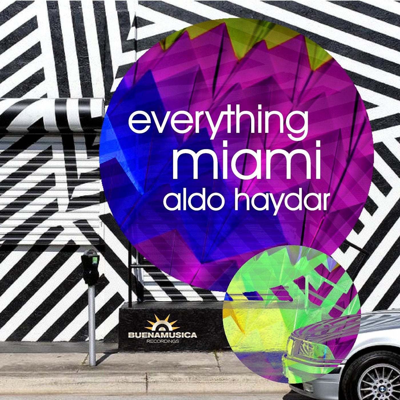 Everything Miami / Aldo Haydar Dj Mix