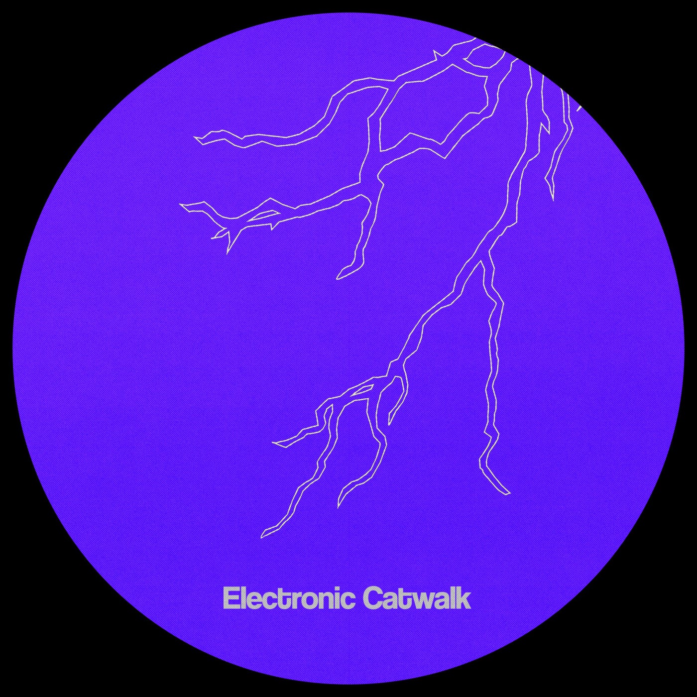Electronic Catwalk