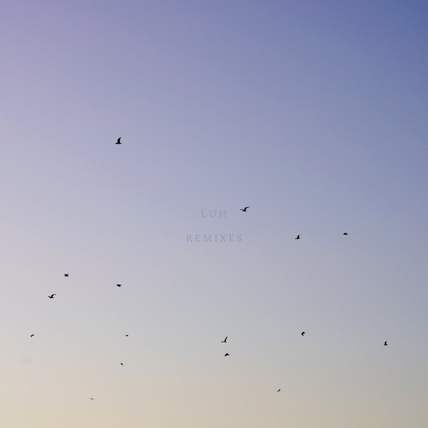 Cover art for LUH Remixes