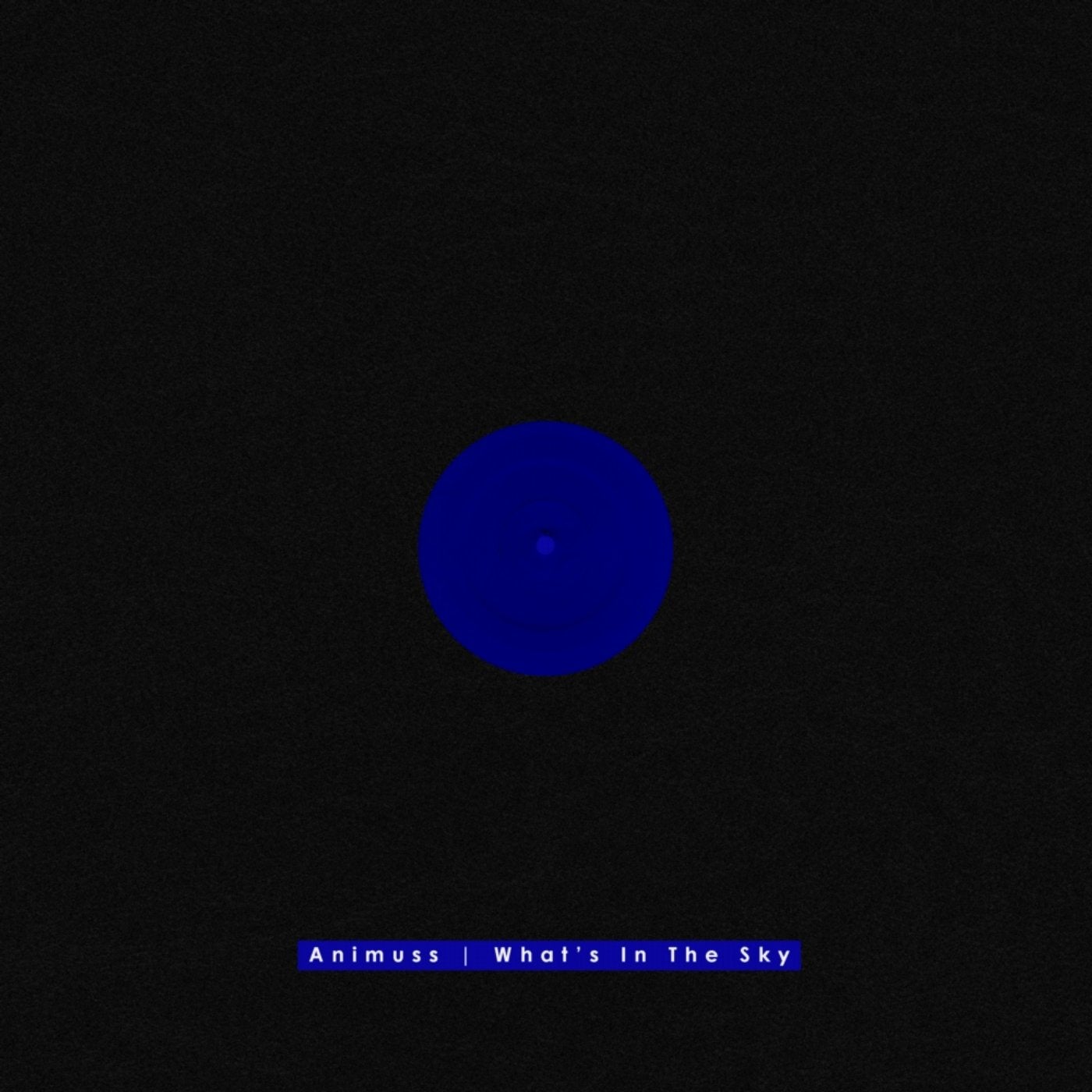 What's In The Sky