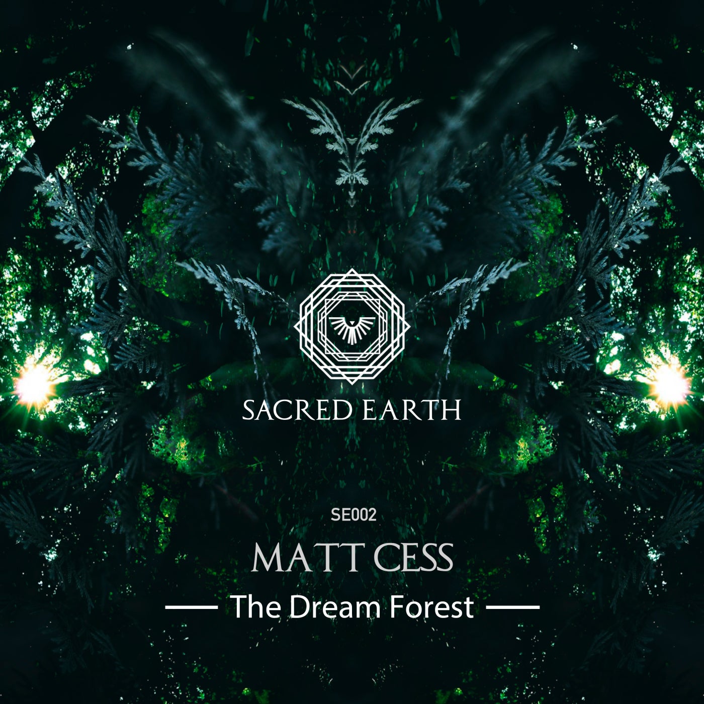 The Dream Forest