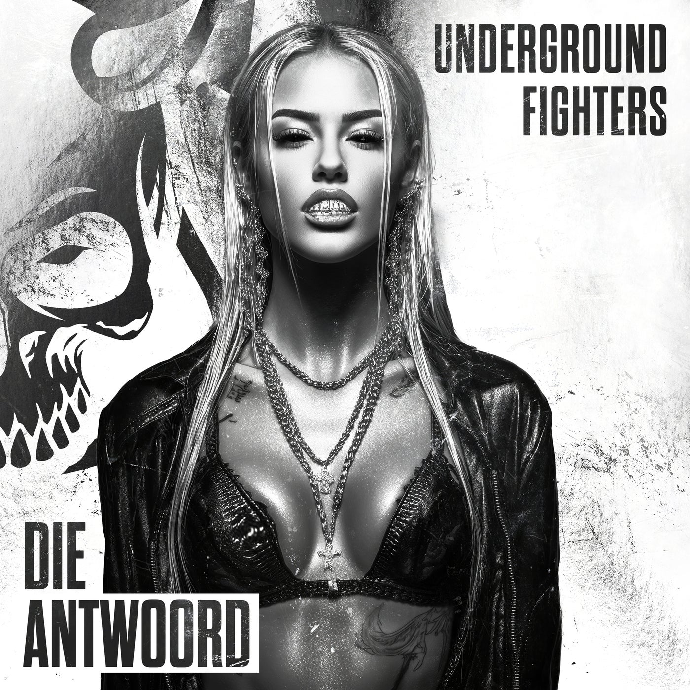 Die Antwoord