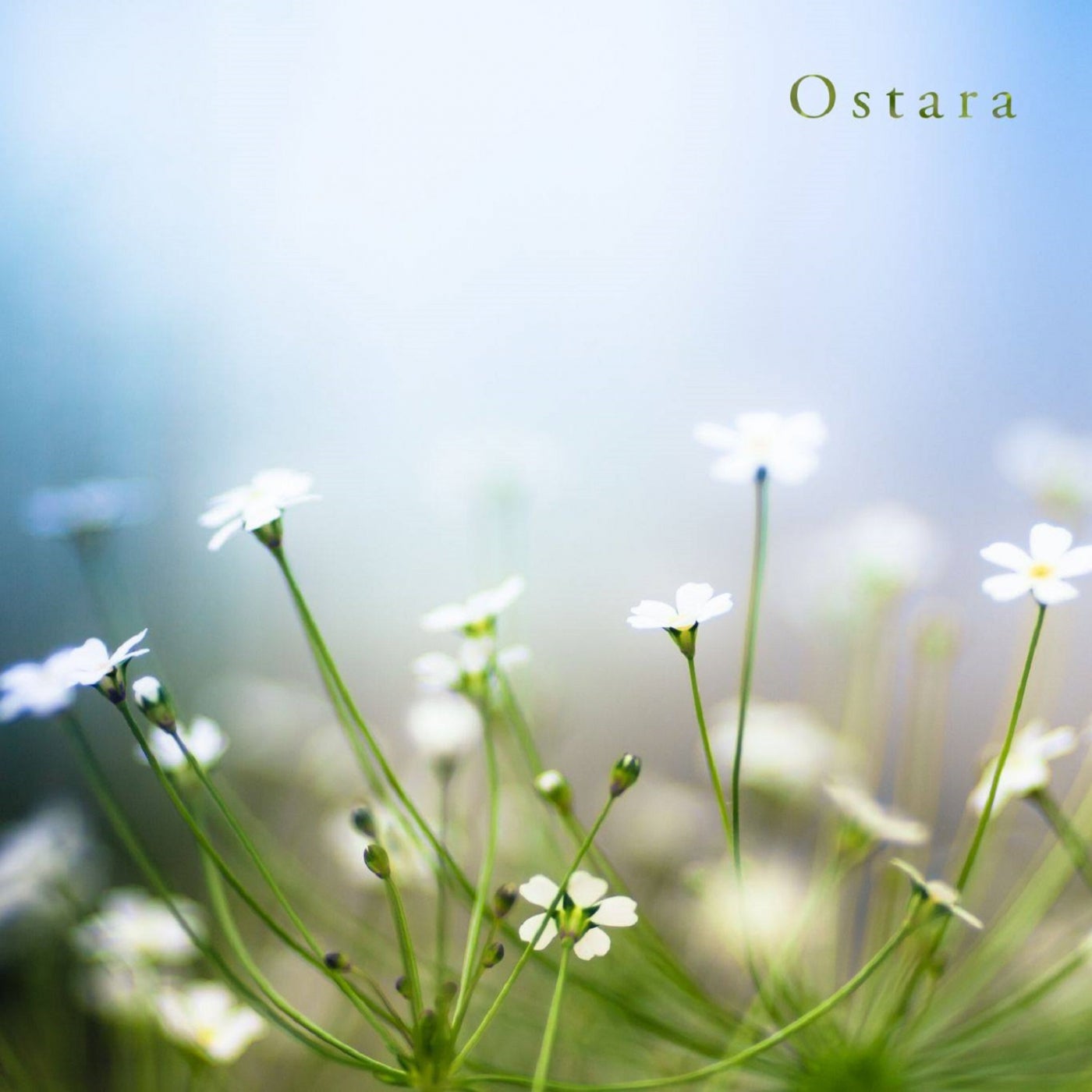 Ostara