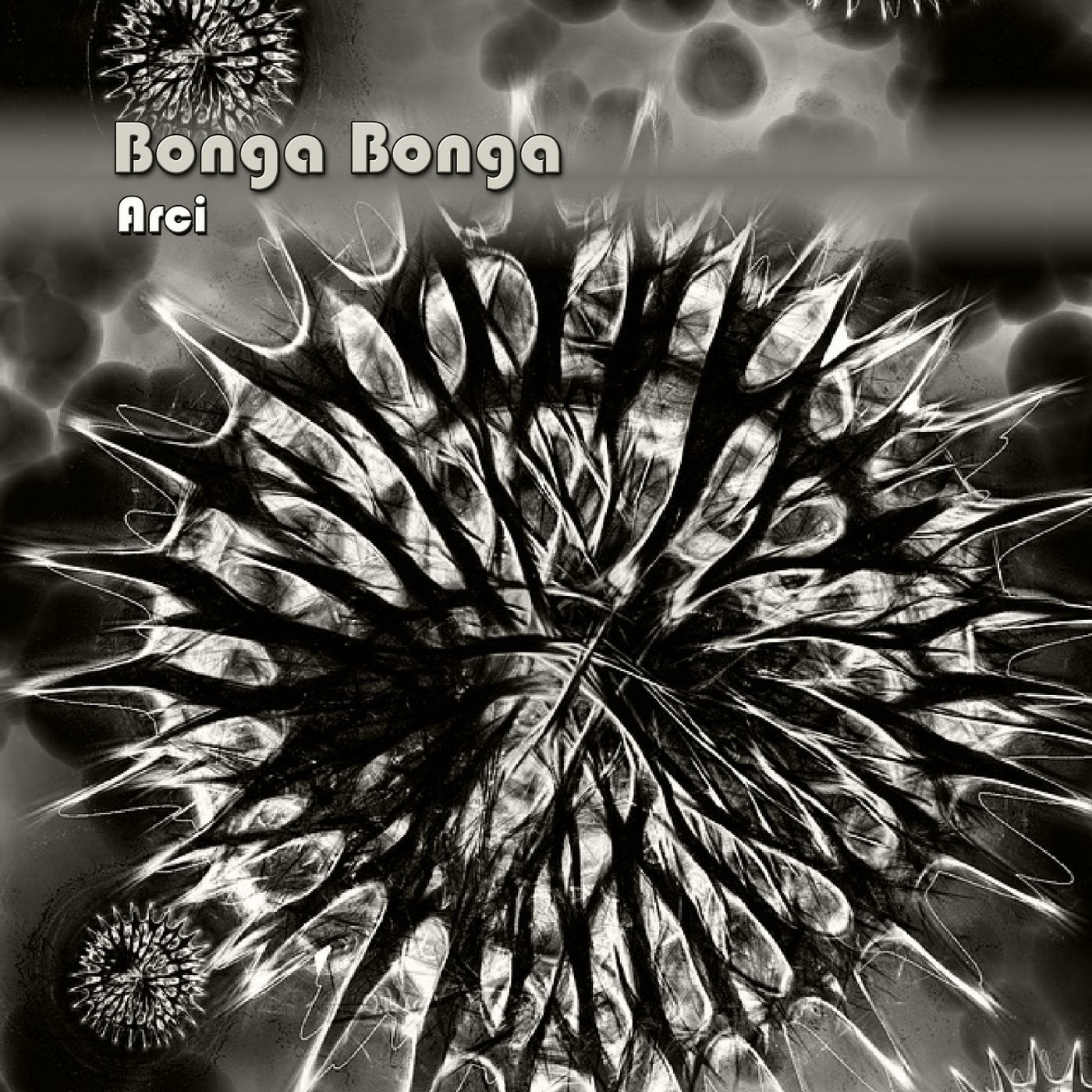 Bonga Bonga