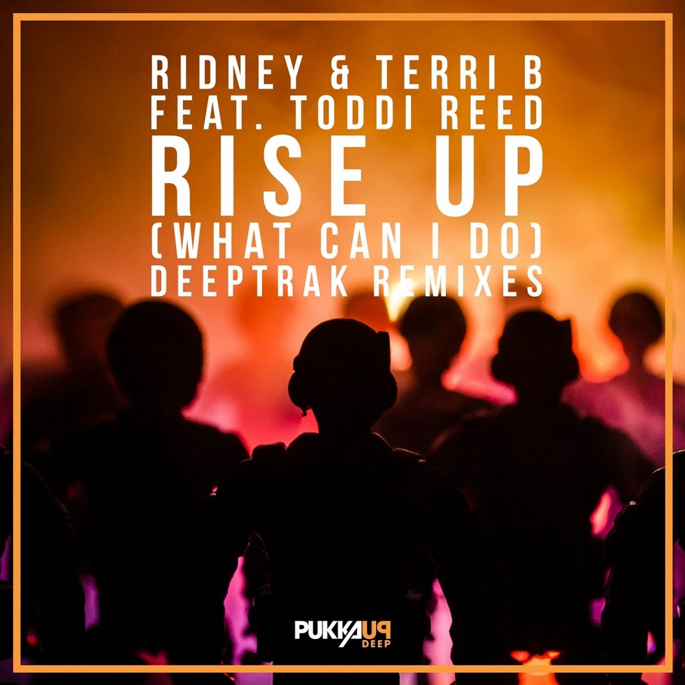 Rise Up (What Can I Do) (feat. Toddi Reed) [Deeptrak Remixes]