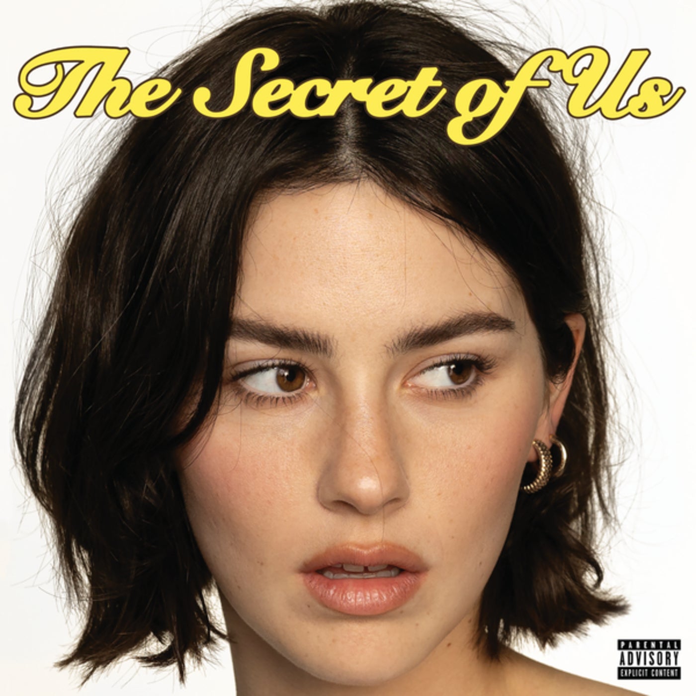 Cover art for The Secret of Us