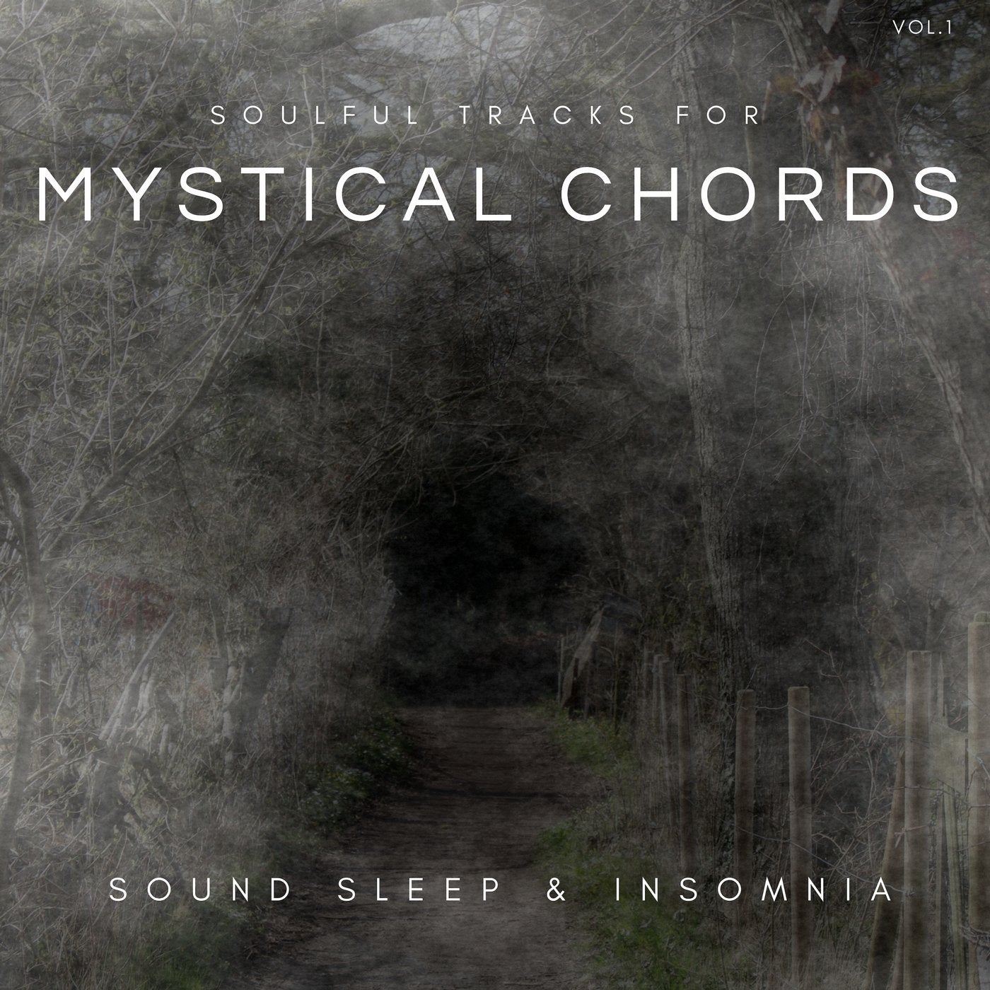 Mystical Chords - Soulful Tracks For Sound Sleep & Insomnia, Vol.1