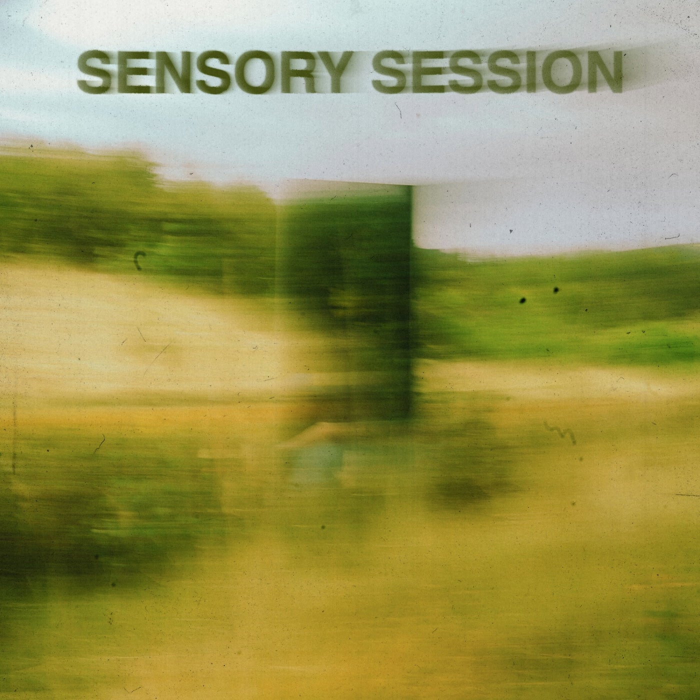 Sensory Session