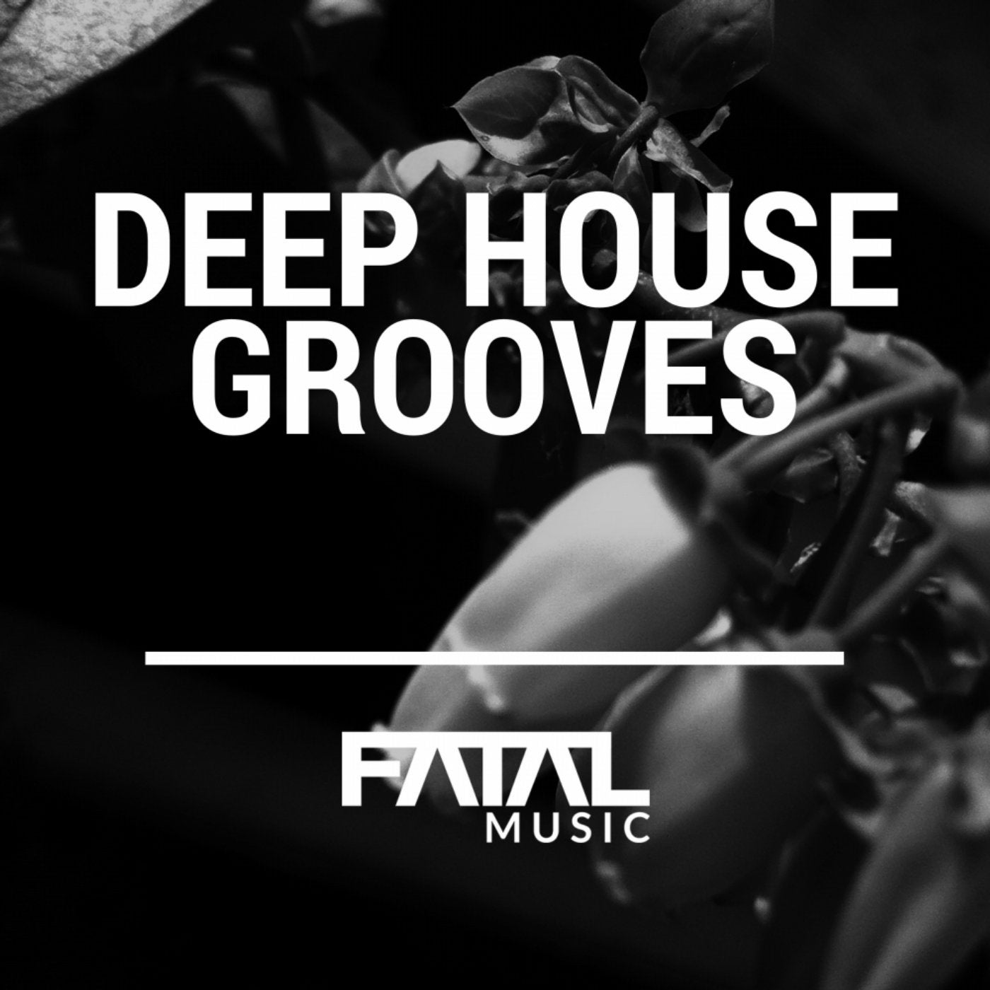 Deep House Grooves