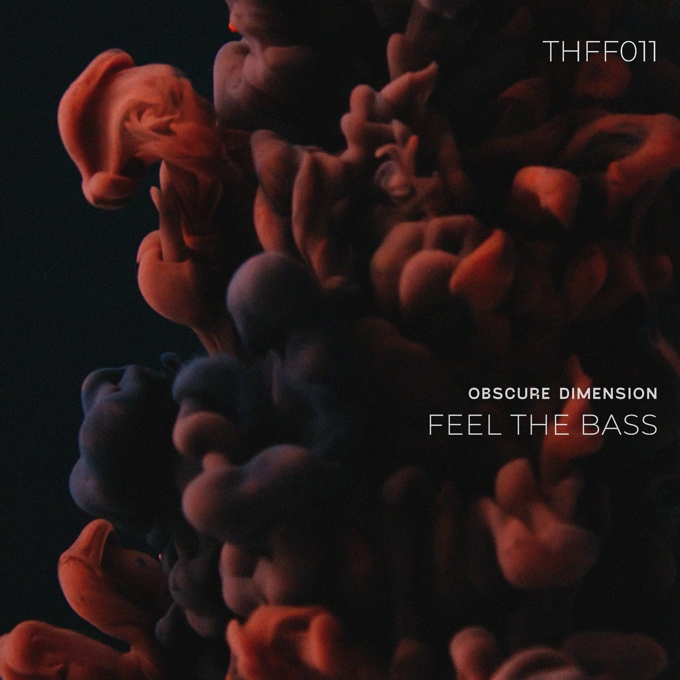 Feel the Bass