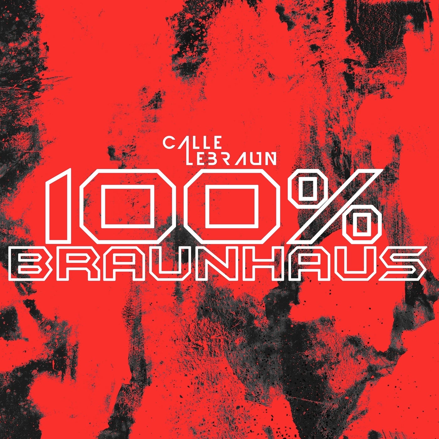 100\%\% Braunhaus