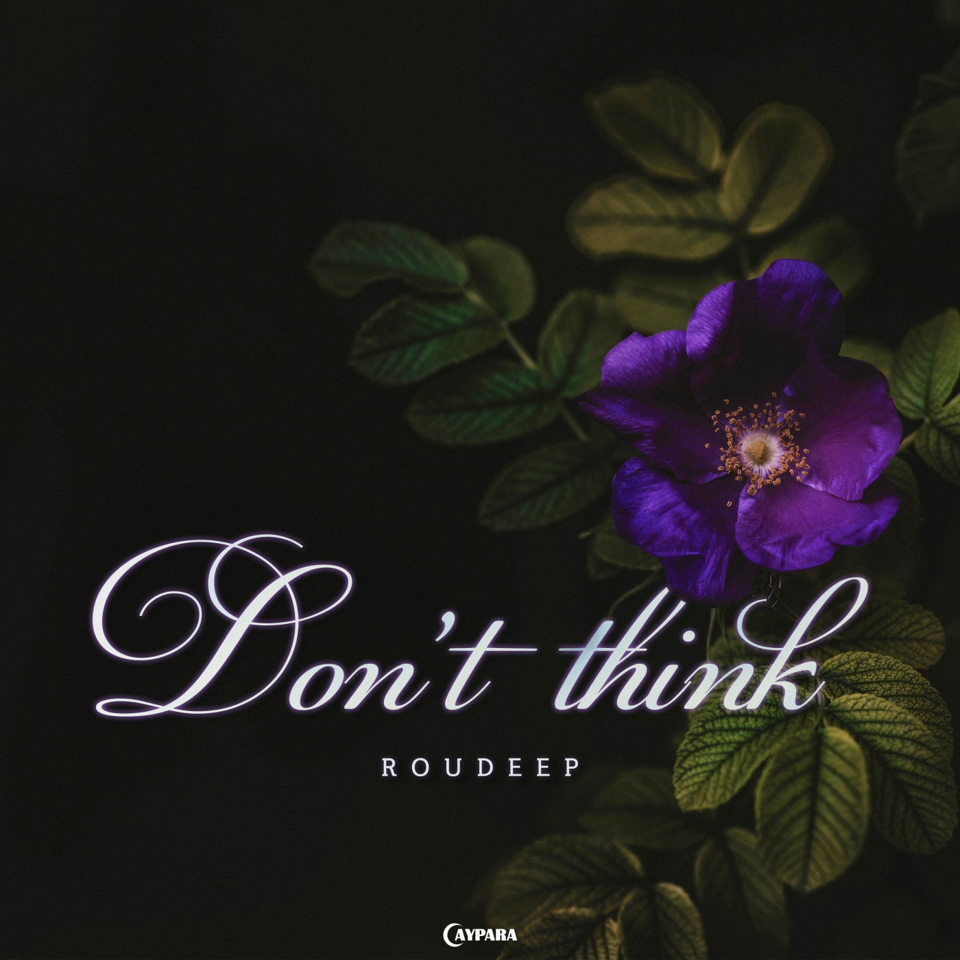 Don't Think