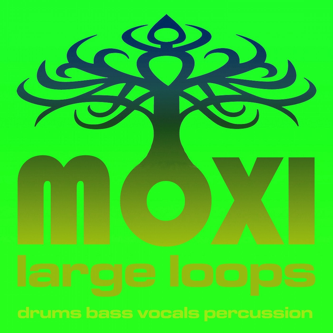 Vortex Loopy Loops Volume 12