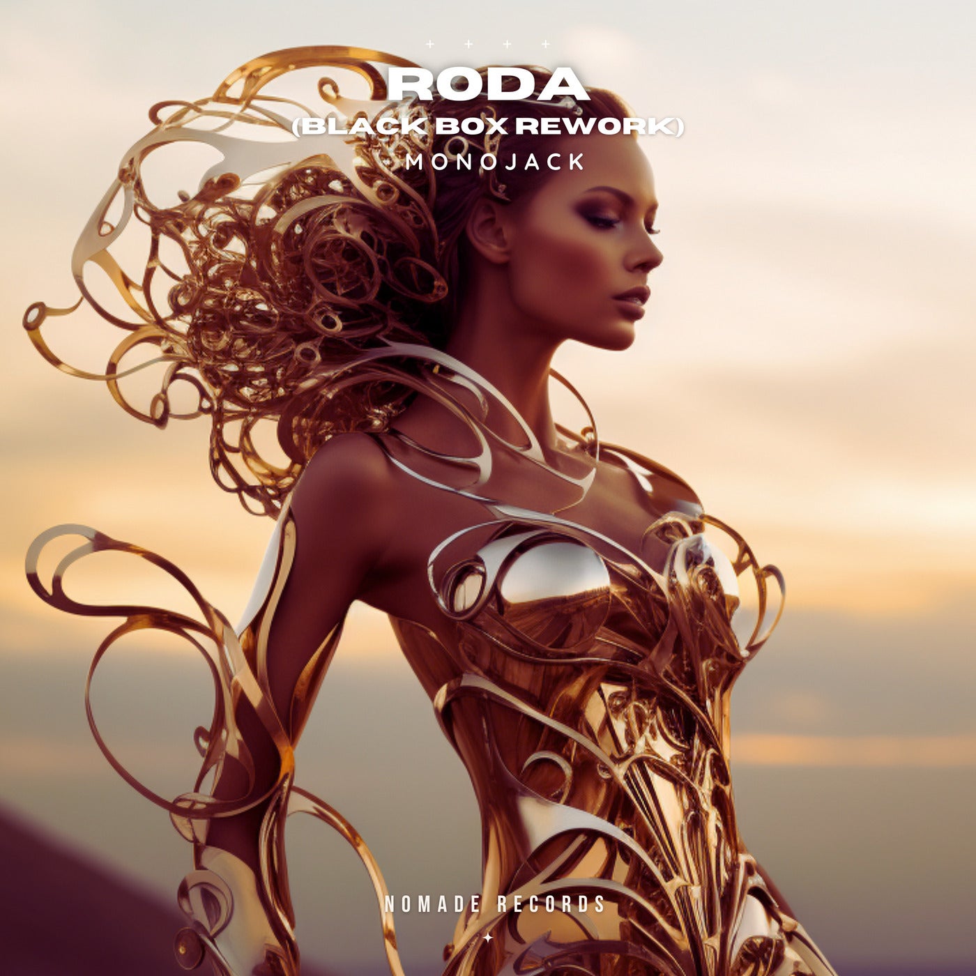 Roda - Black Box Rework