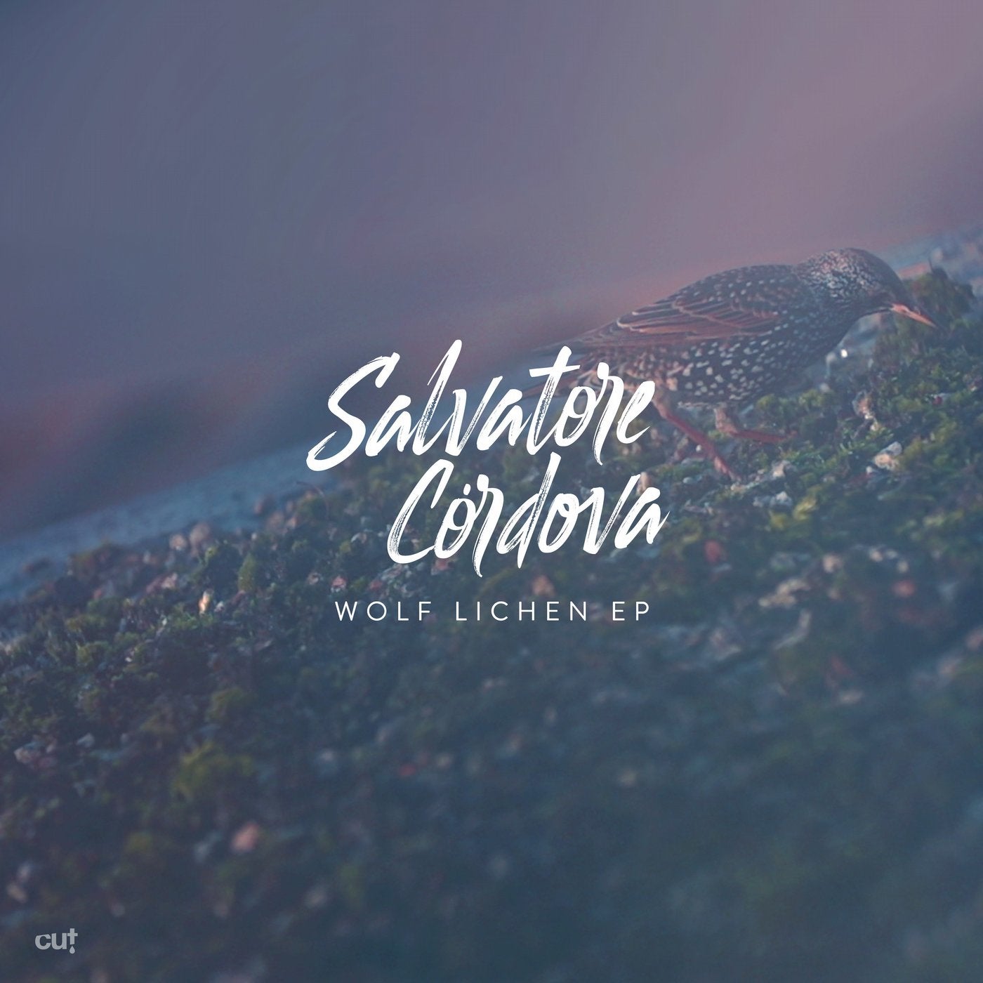 Wolf Lichen EP