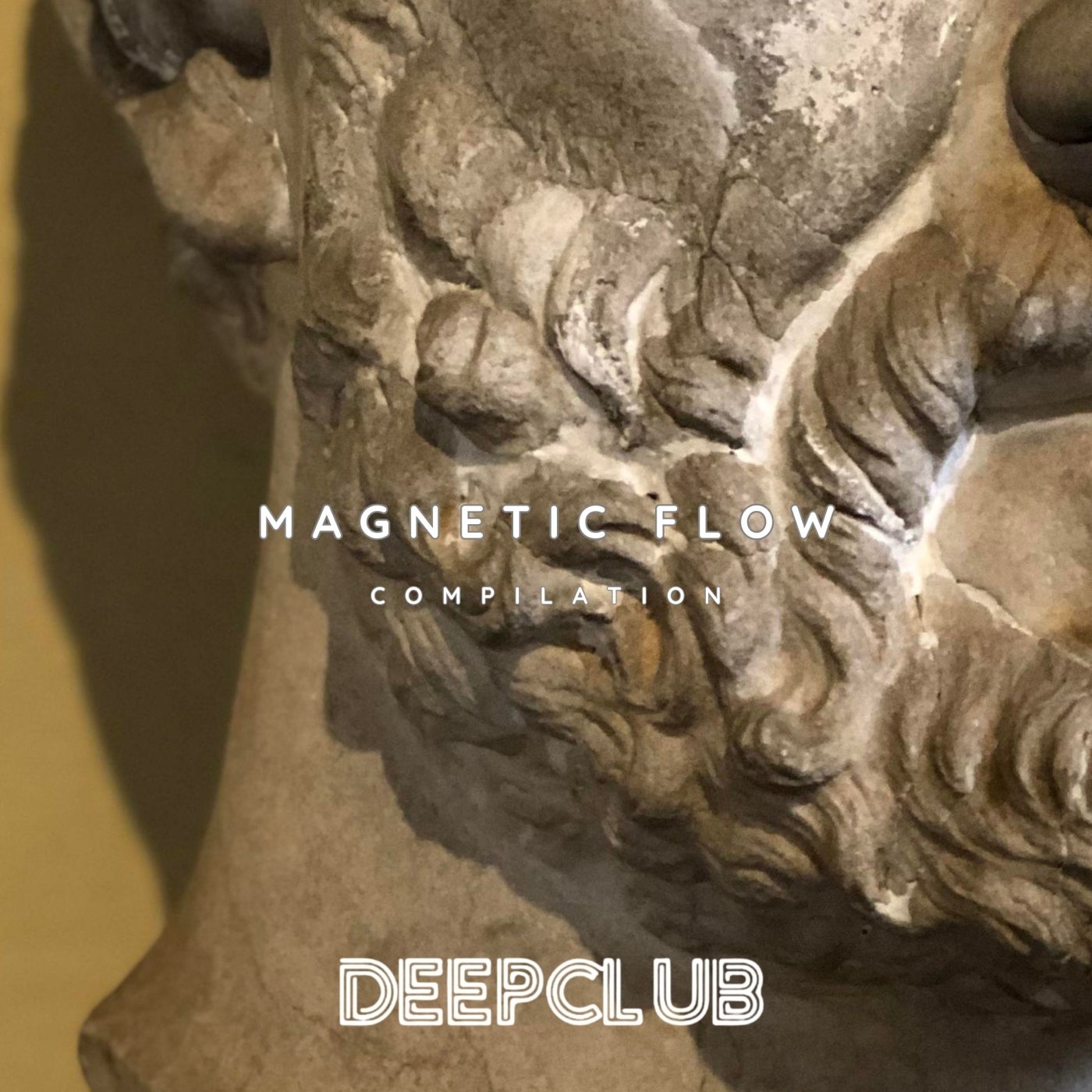 Magnetic Flow