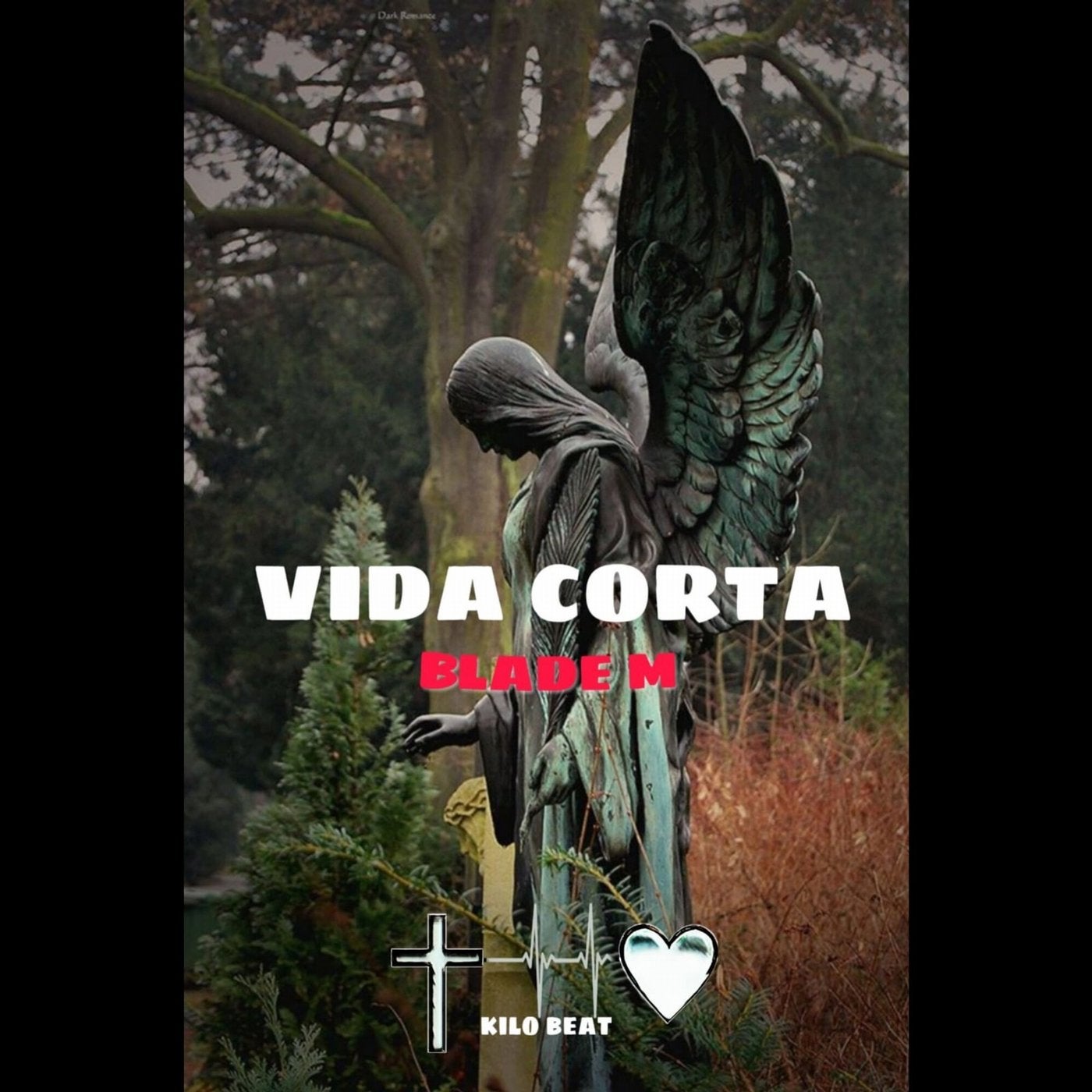 Vida Corta