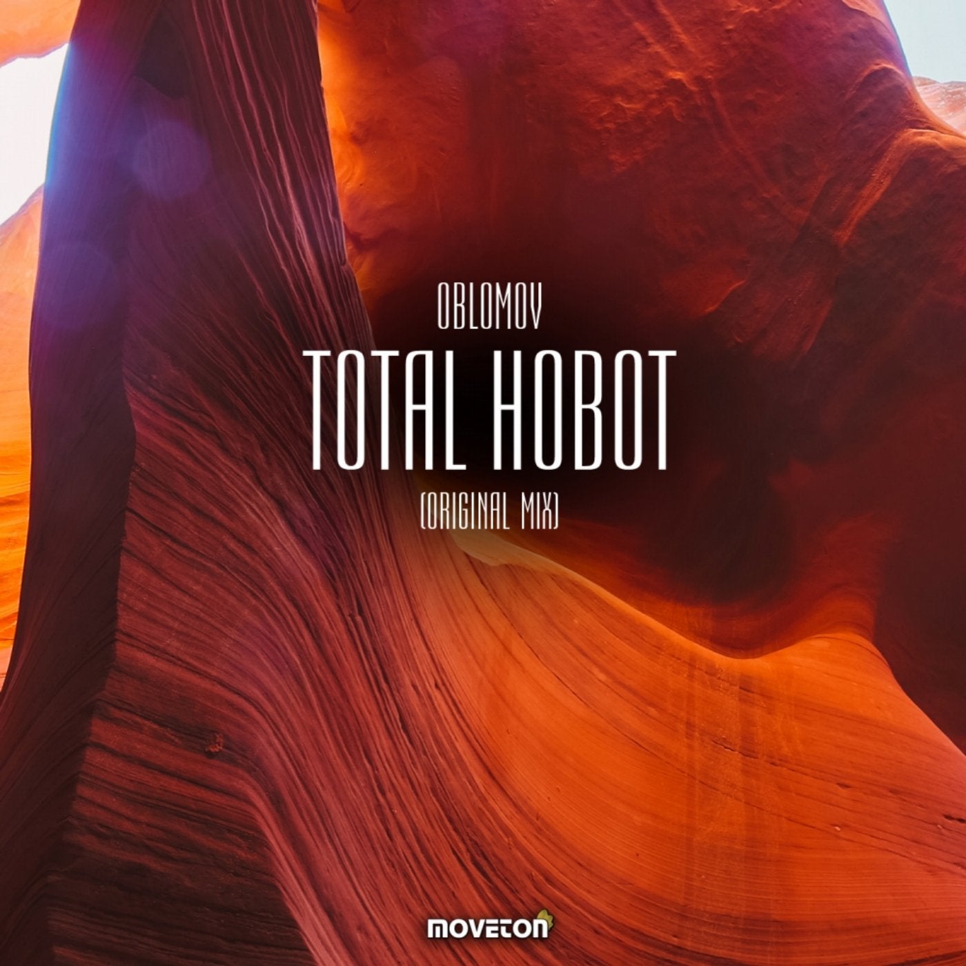 Total Hobot