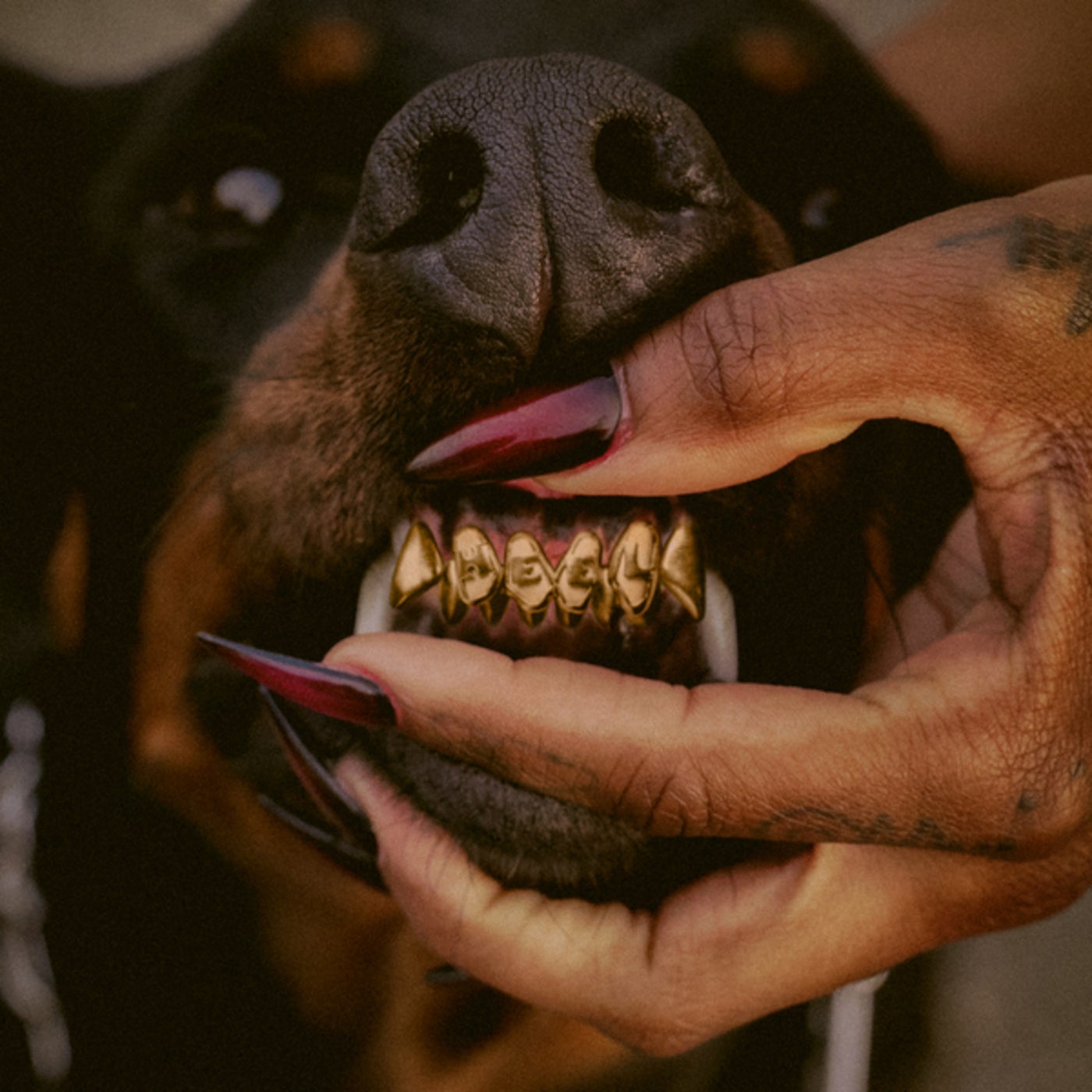Masego Music & Downloads on Beatport
