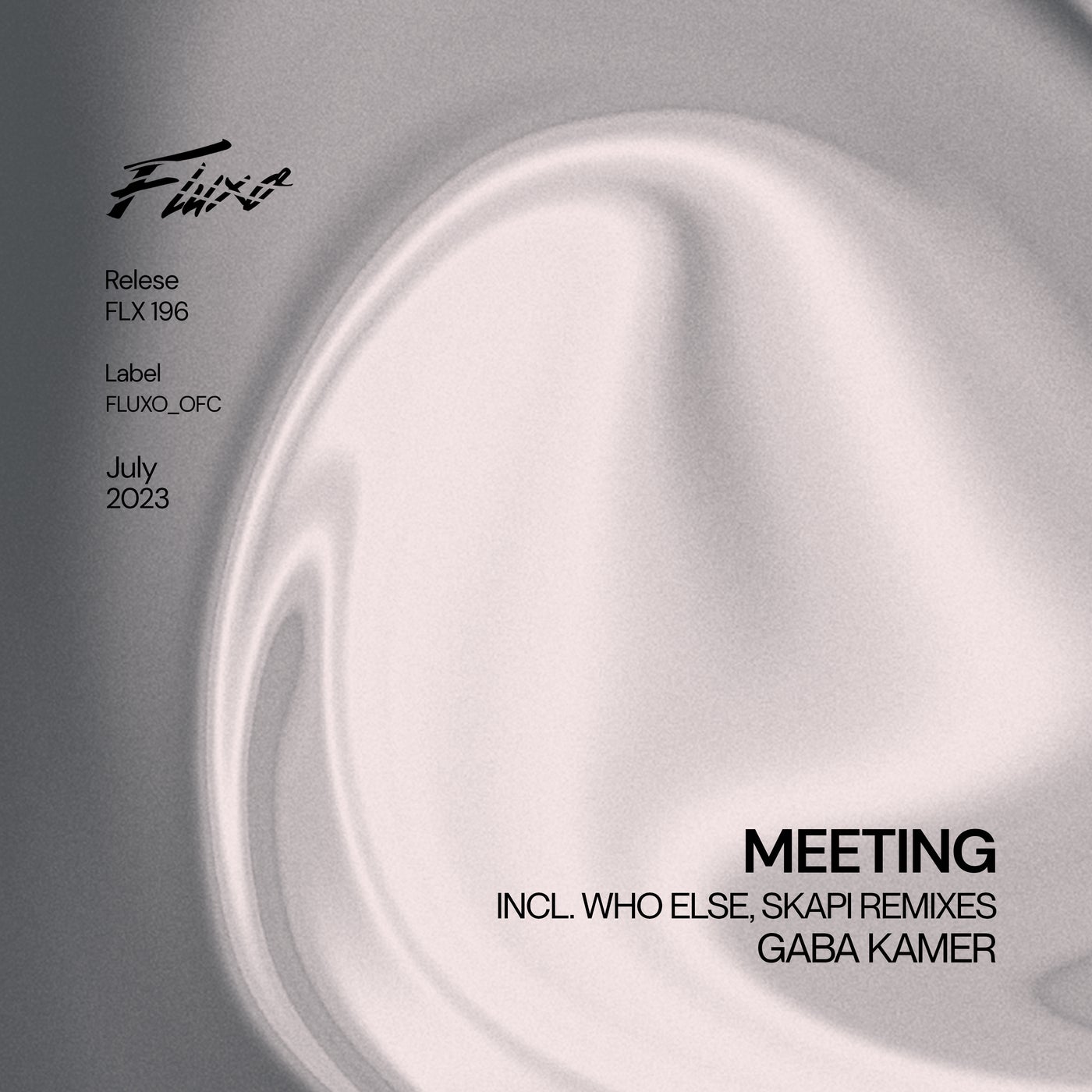 Meeting