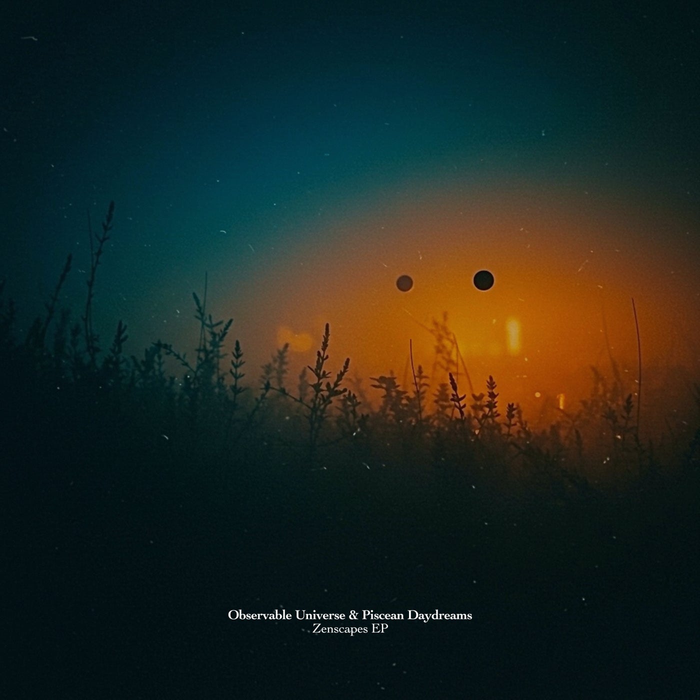 Zenscapes