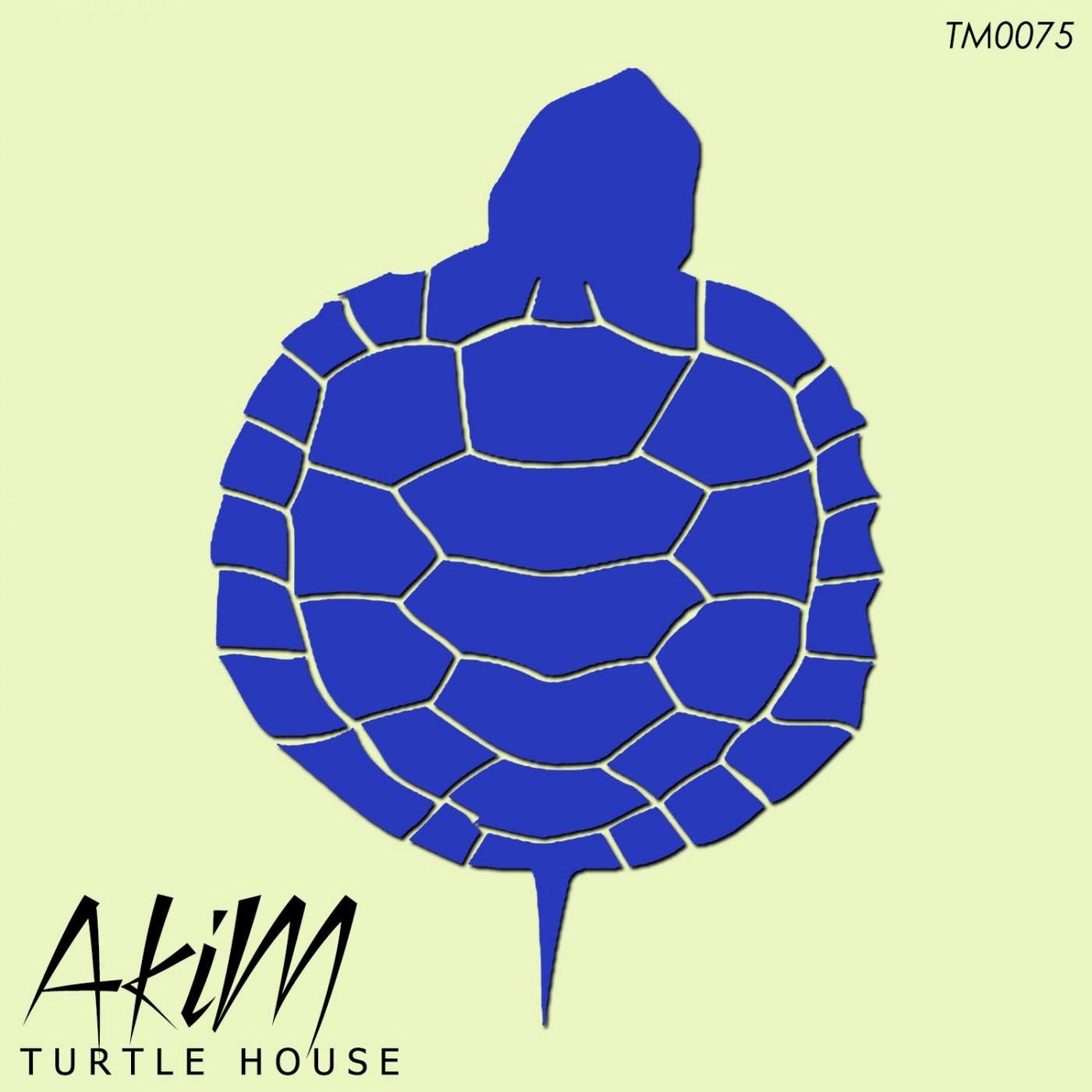 Turtle House