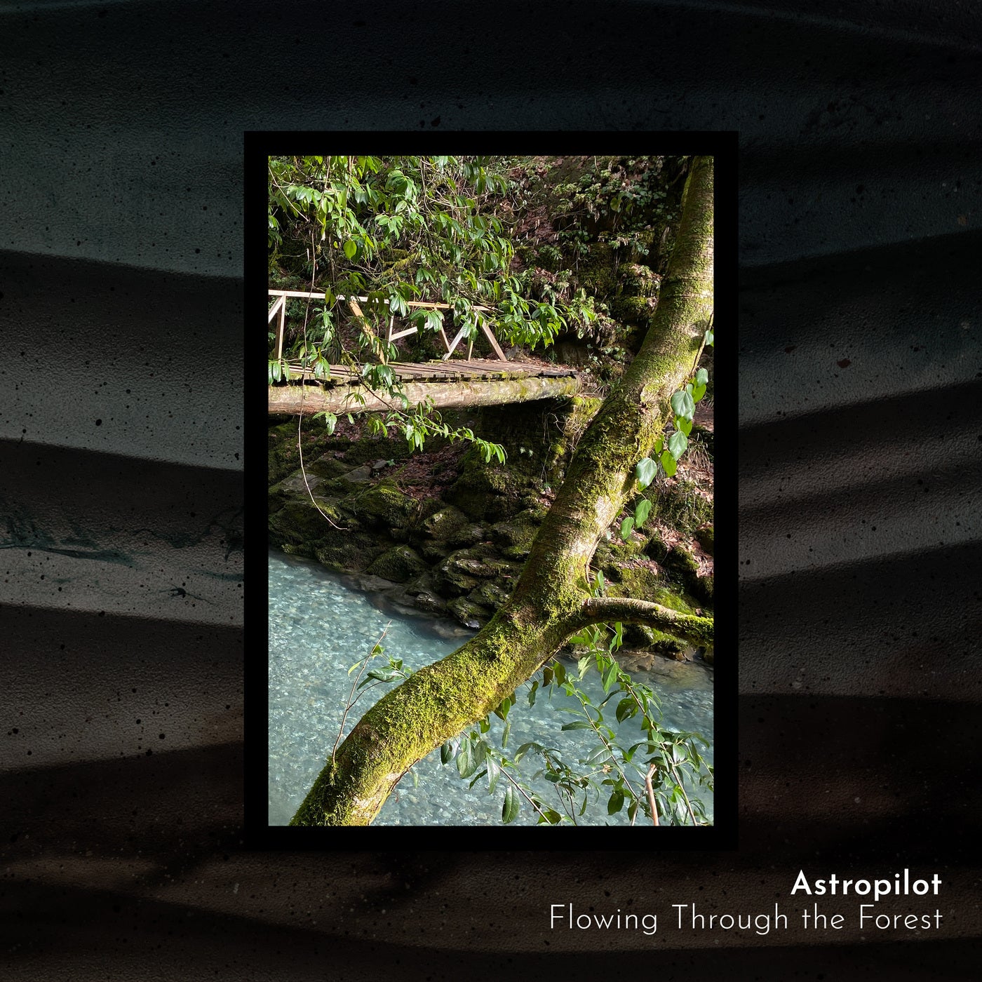 Flowing Through the Forest