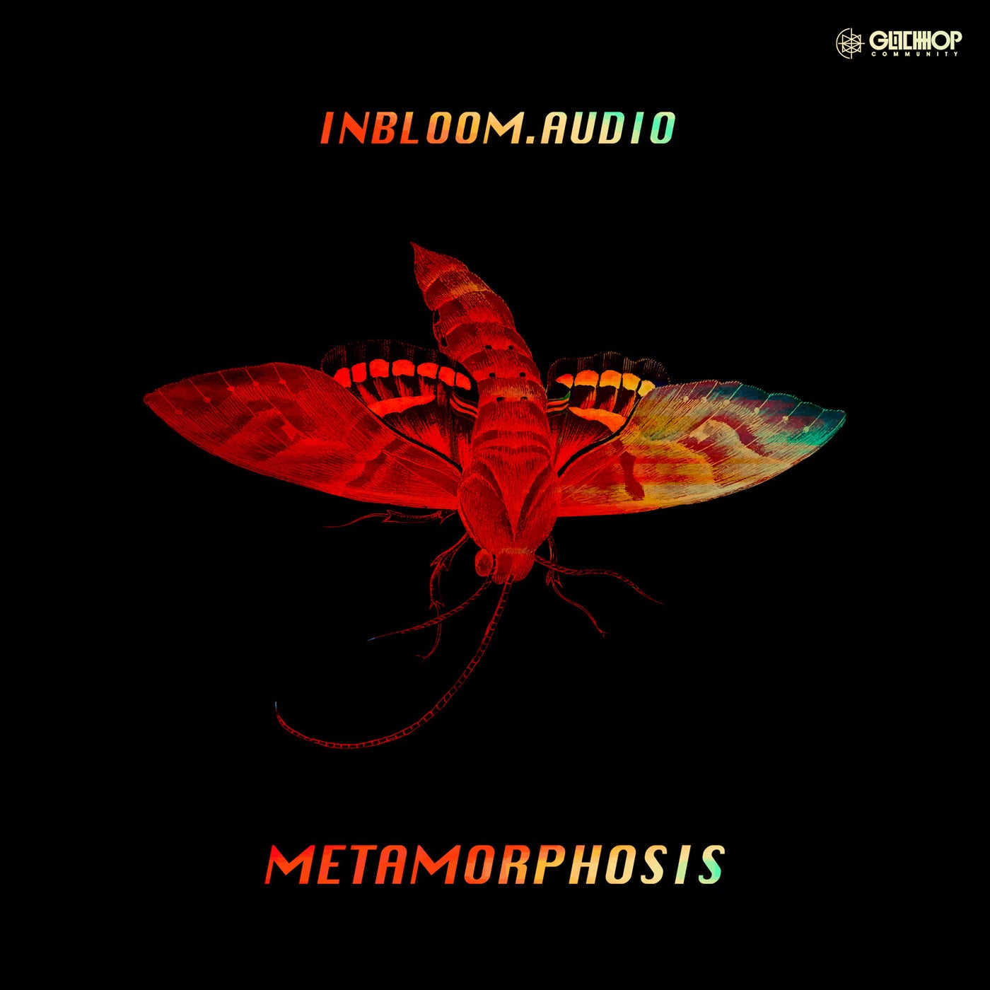 Metamorphosis