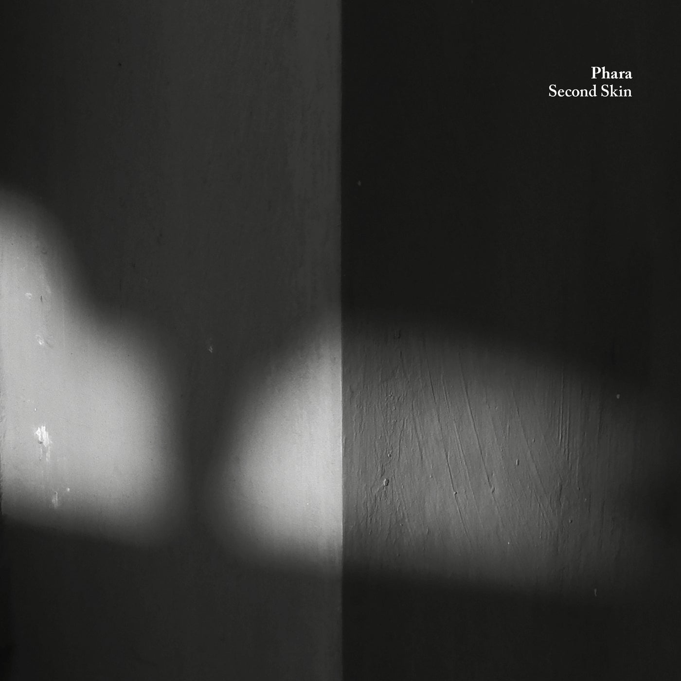 Cover art for Second Skin