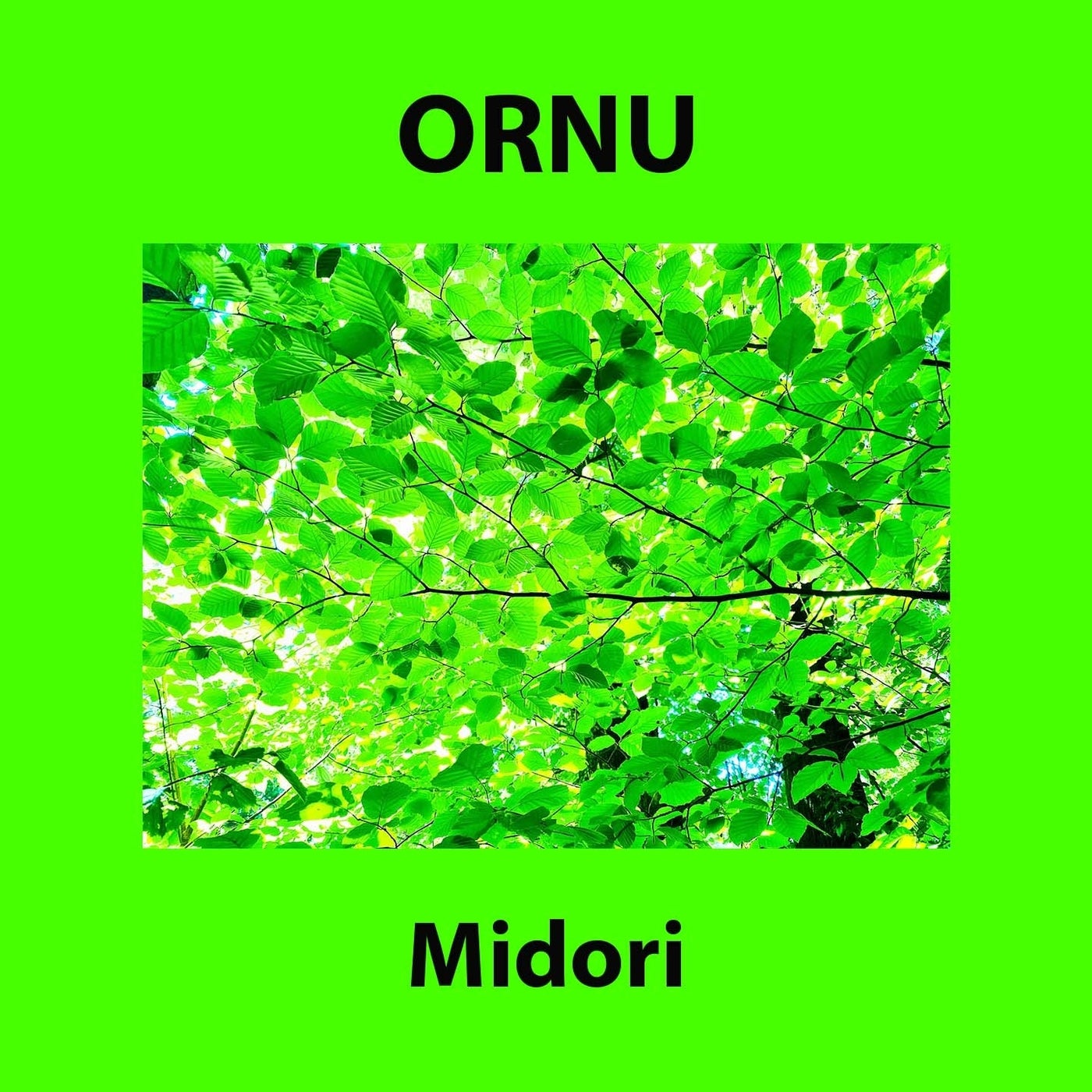 Midori