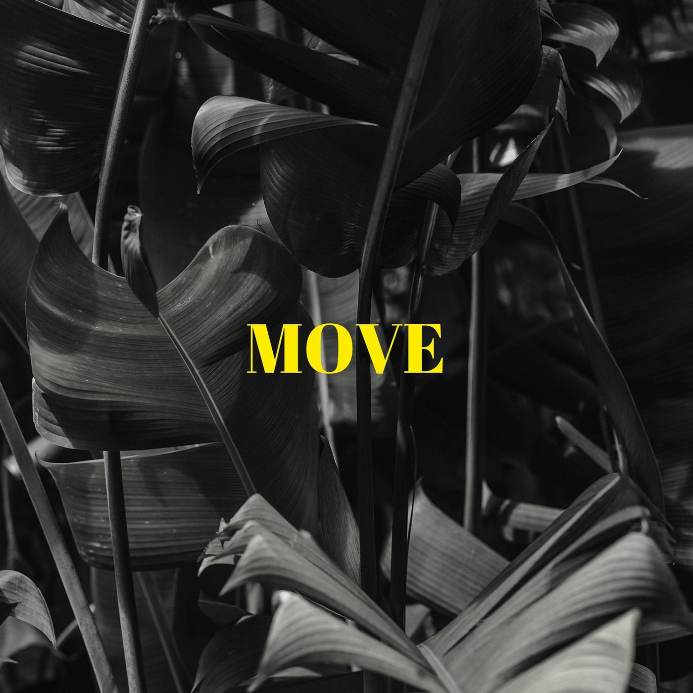 Move