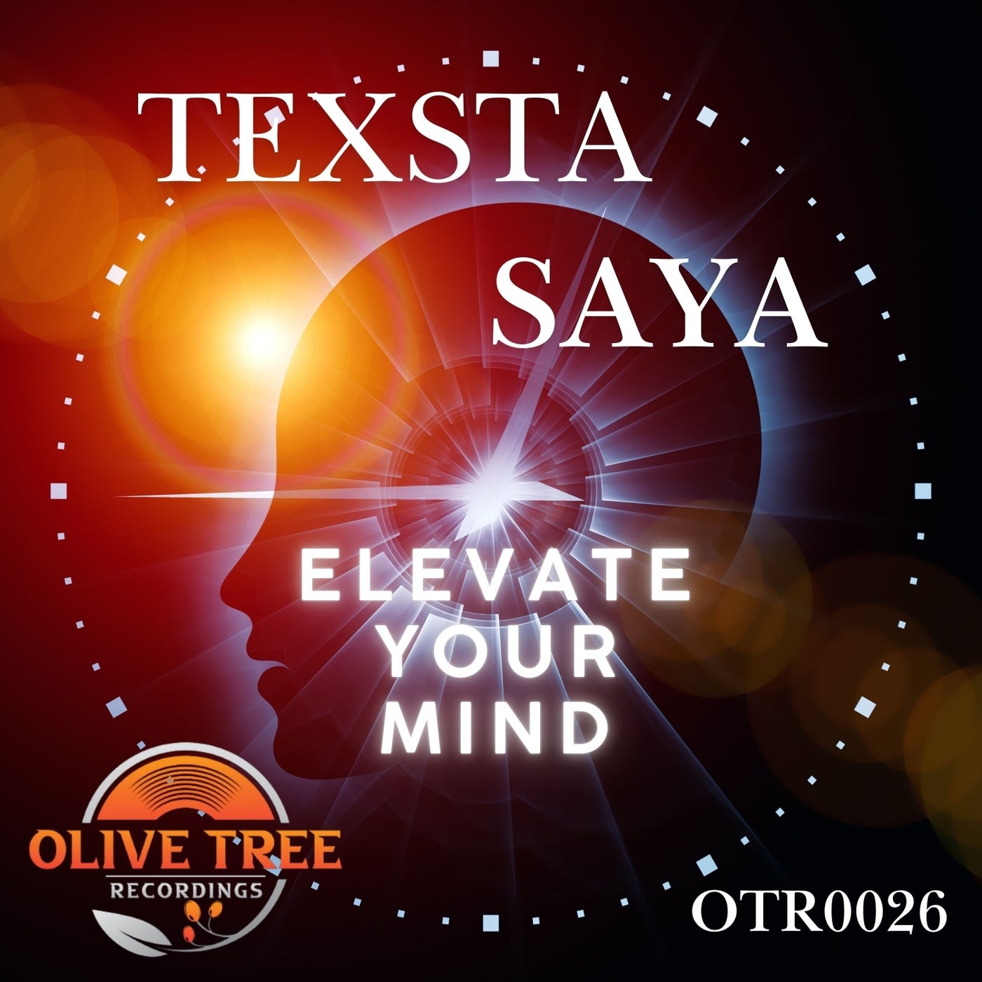 Elevate Your Mind