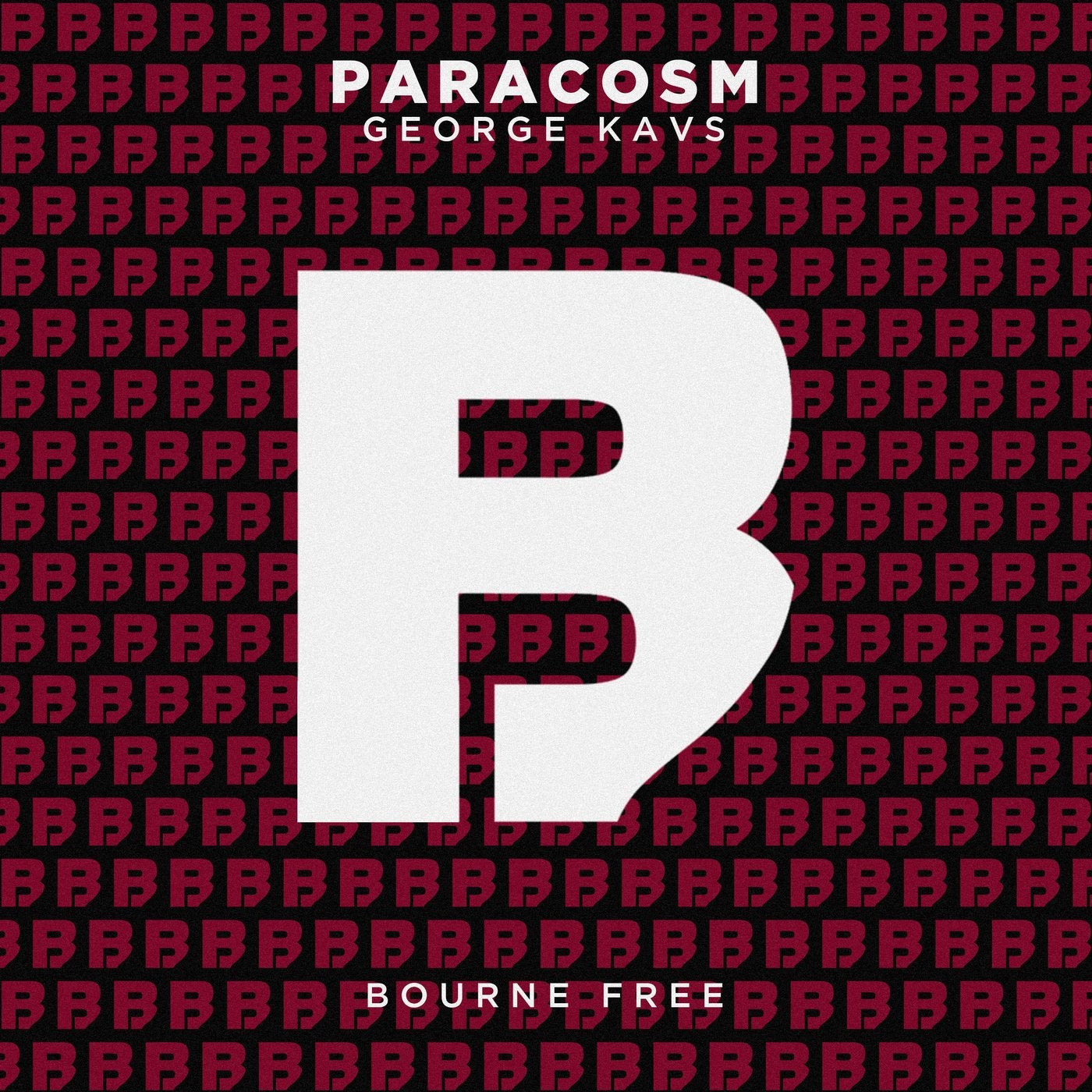 Paracosm