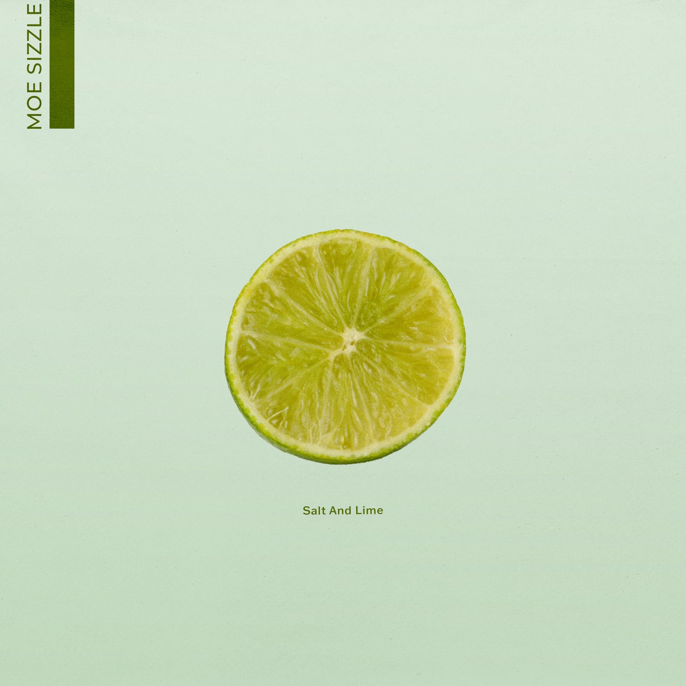 Salt And Lime