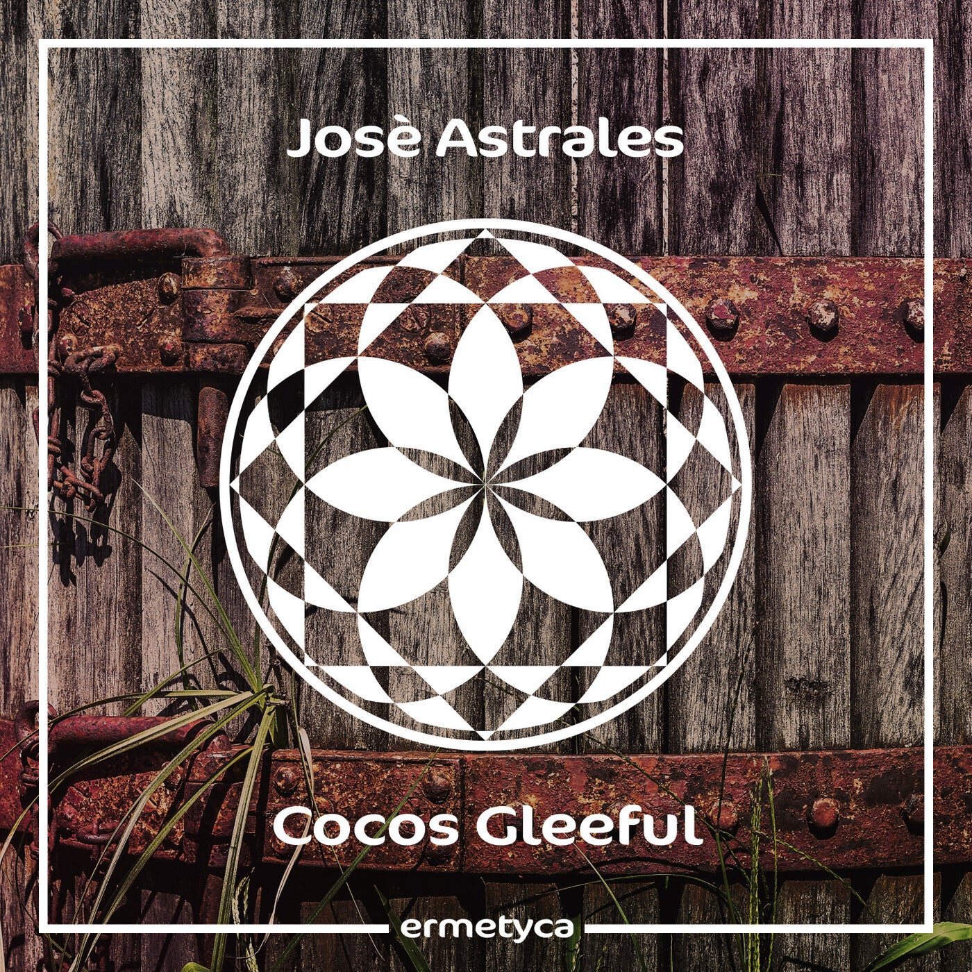 Cocos Gleeful