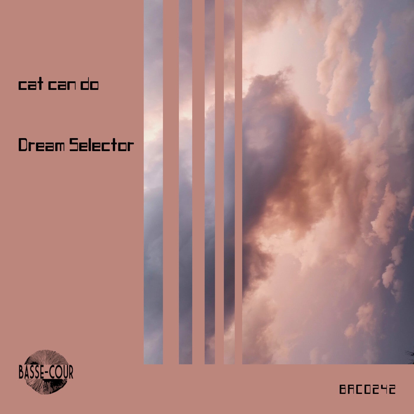 Dream Selector