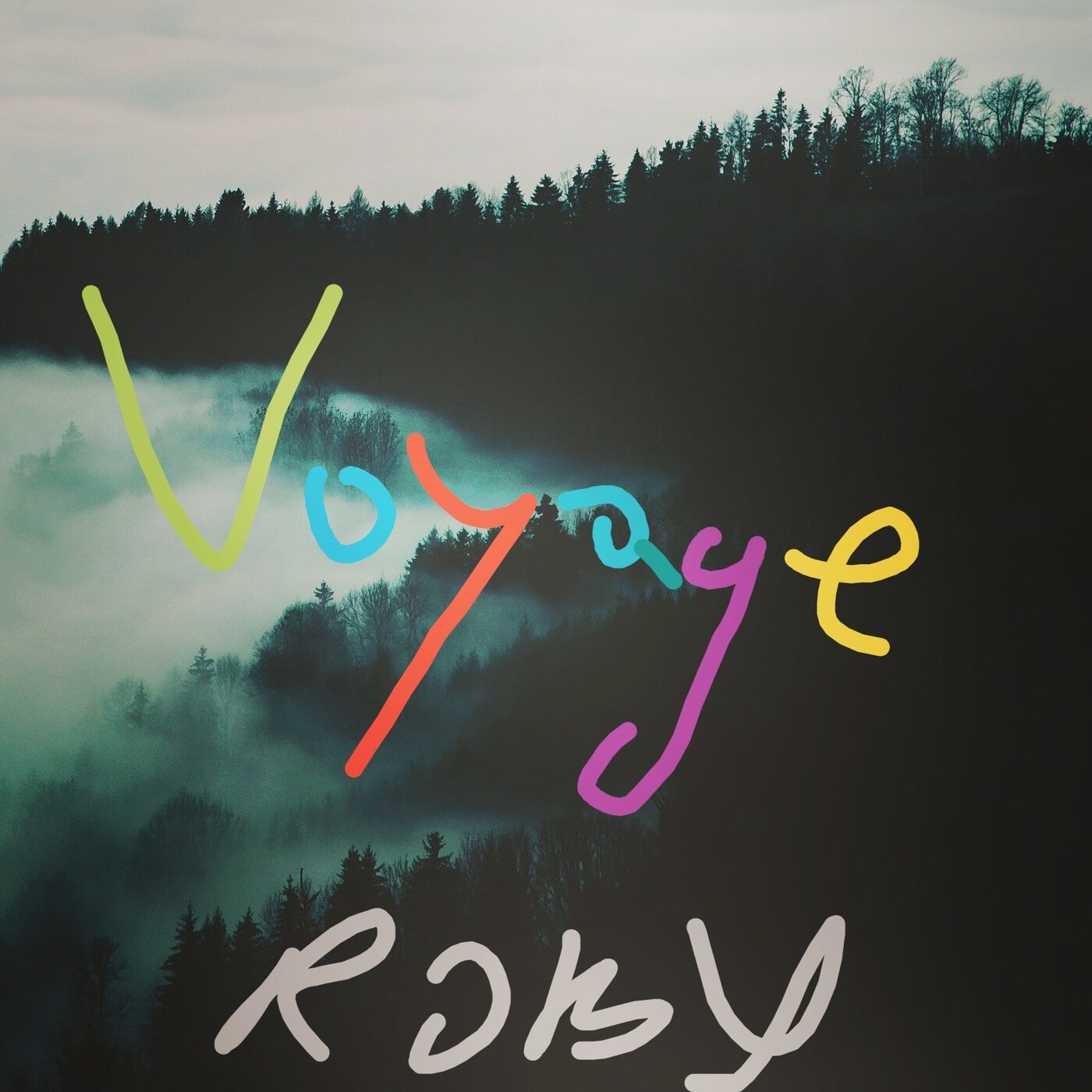 Voyage