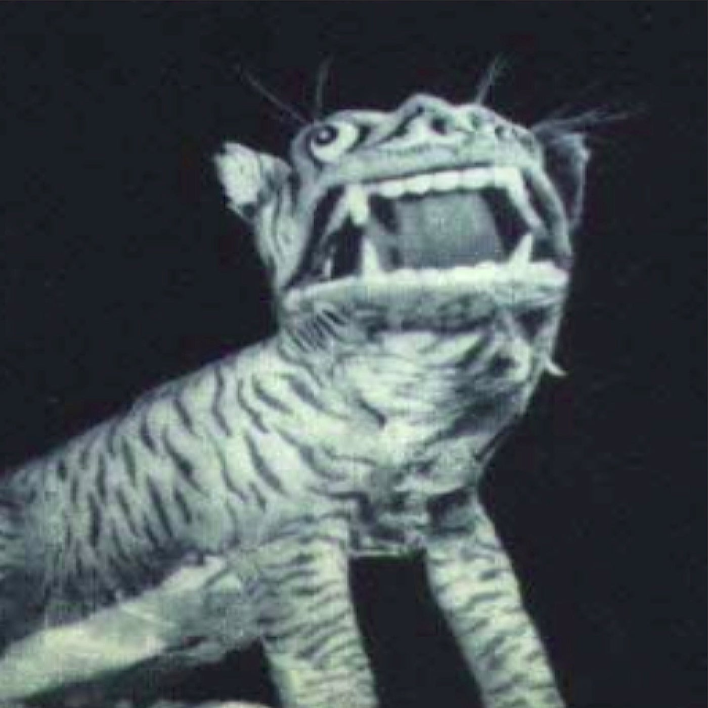 Paper Tiger