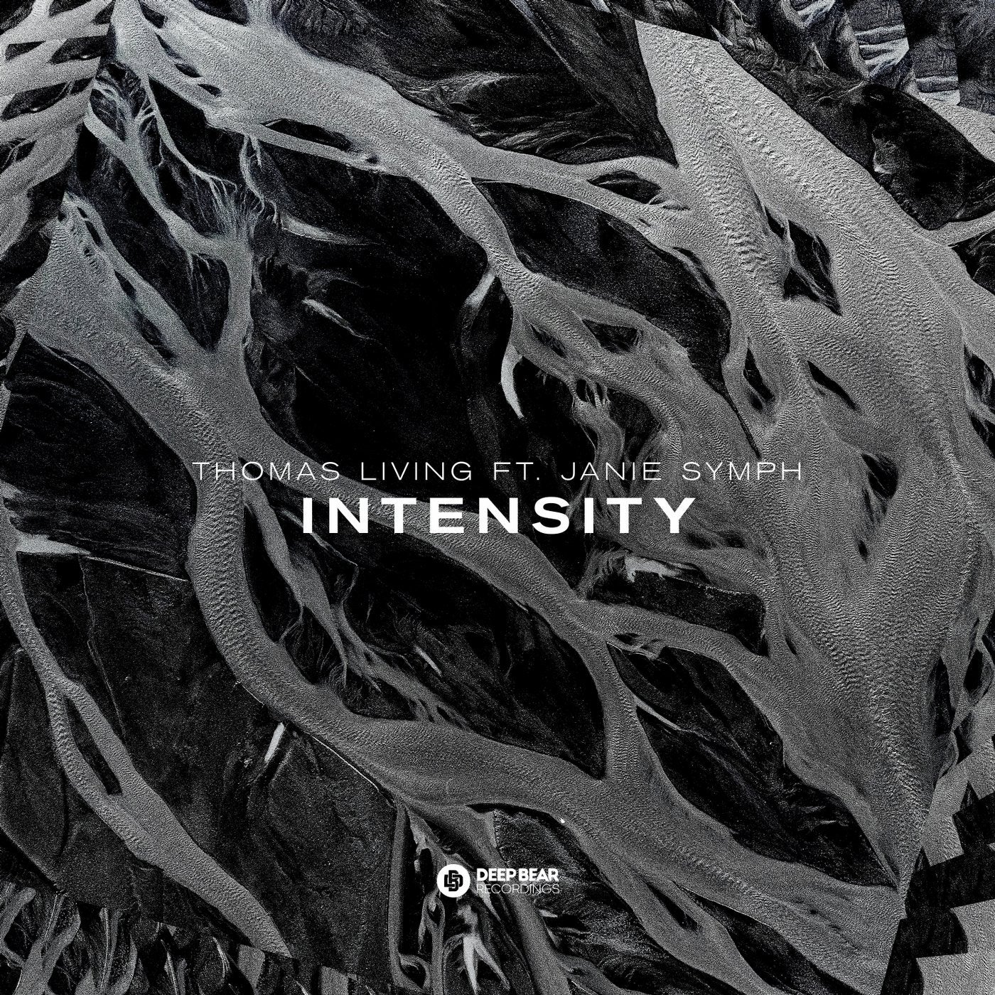 Intensity (feat. Janie Symph)