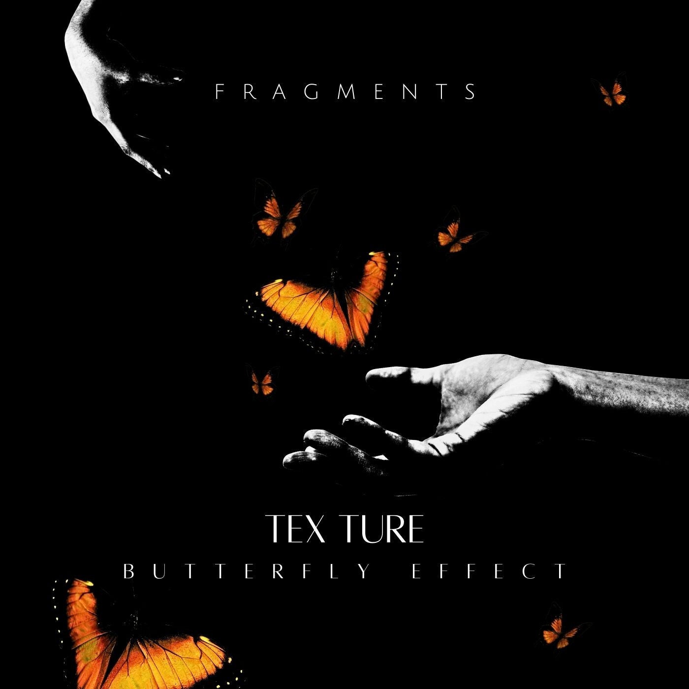 Butterfly Effect