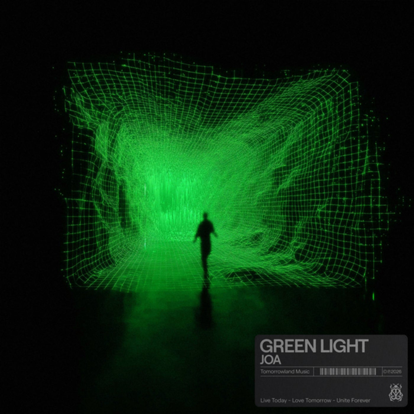 Green Light (Extended Mix)
