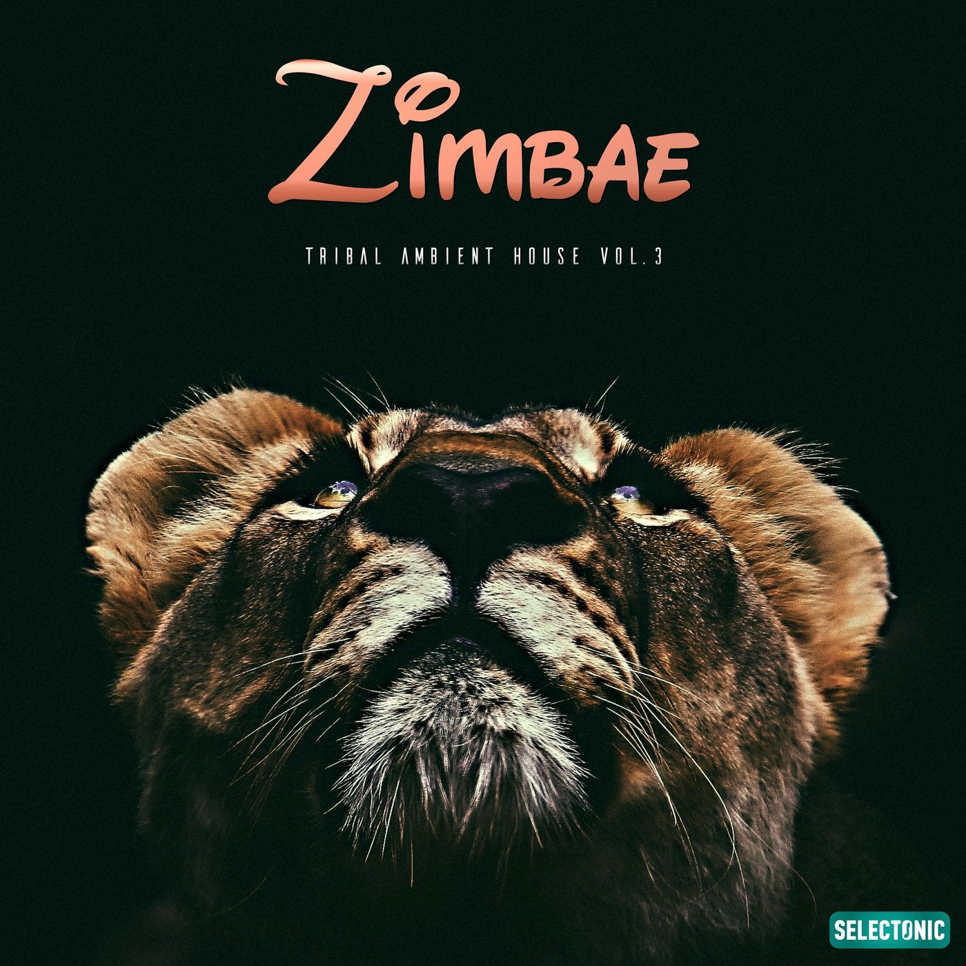 Zimbae: Tribal Ambient House, Vol. 3