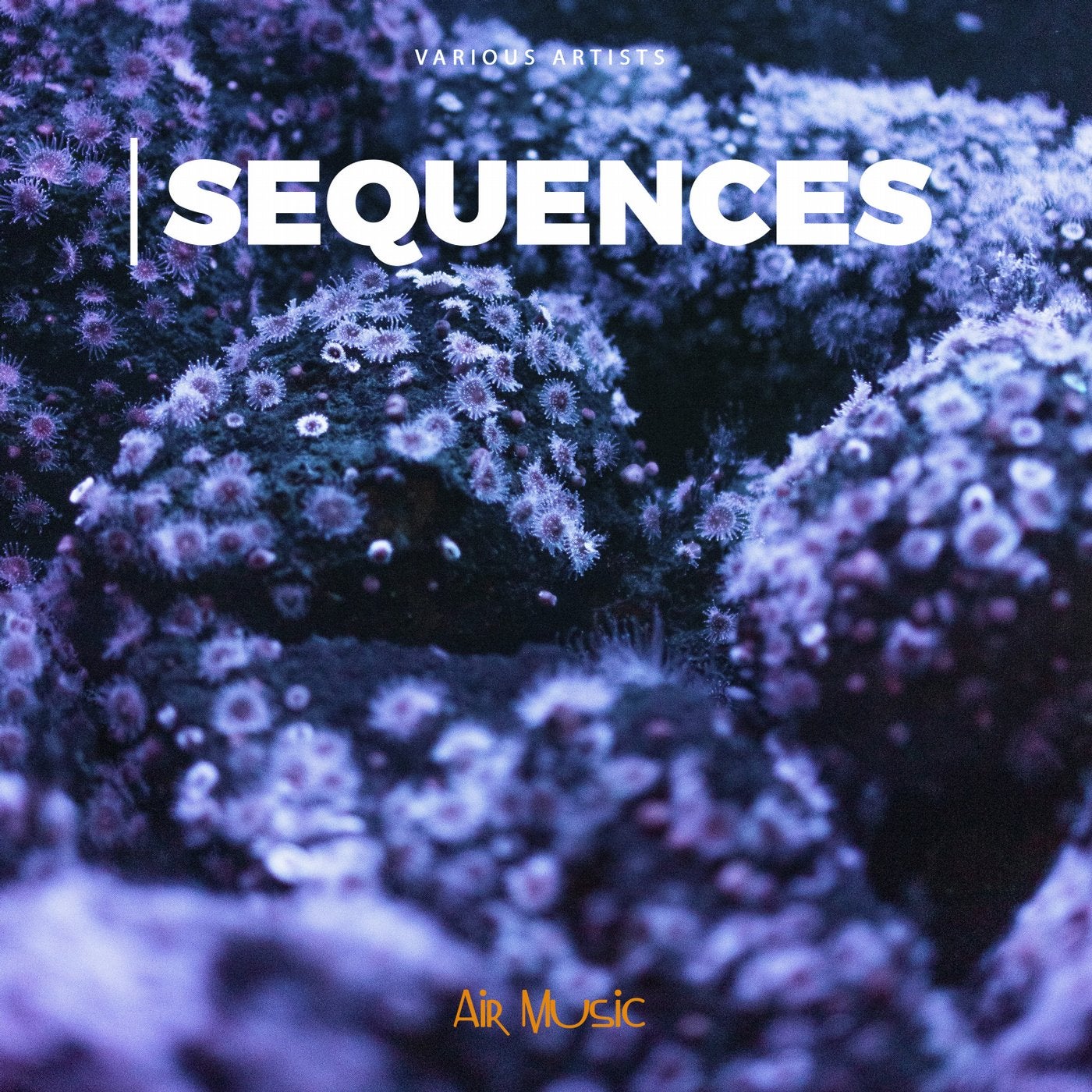 Sequences