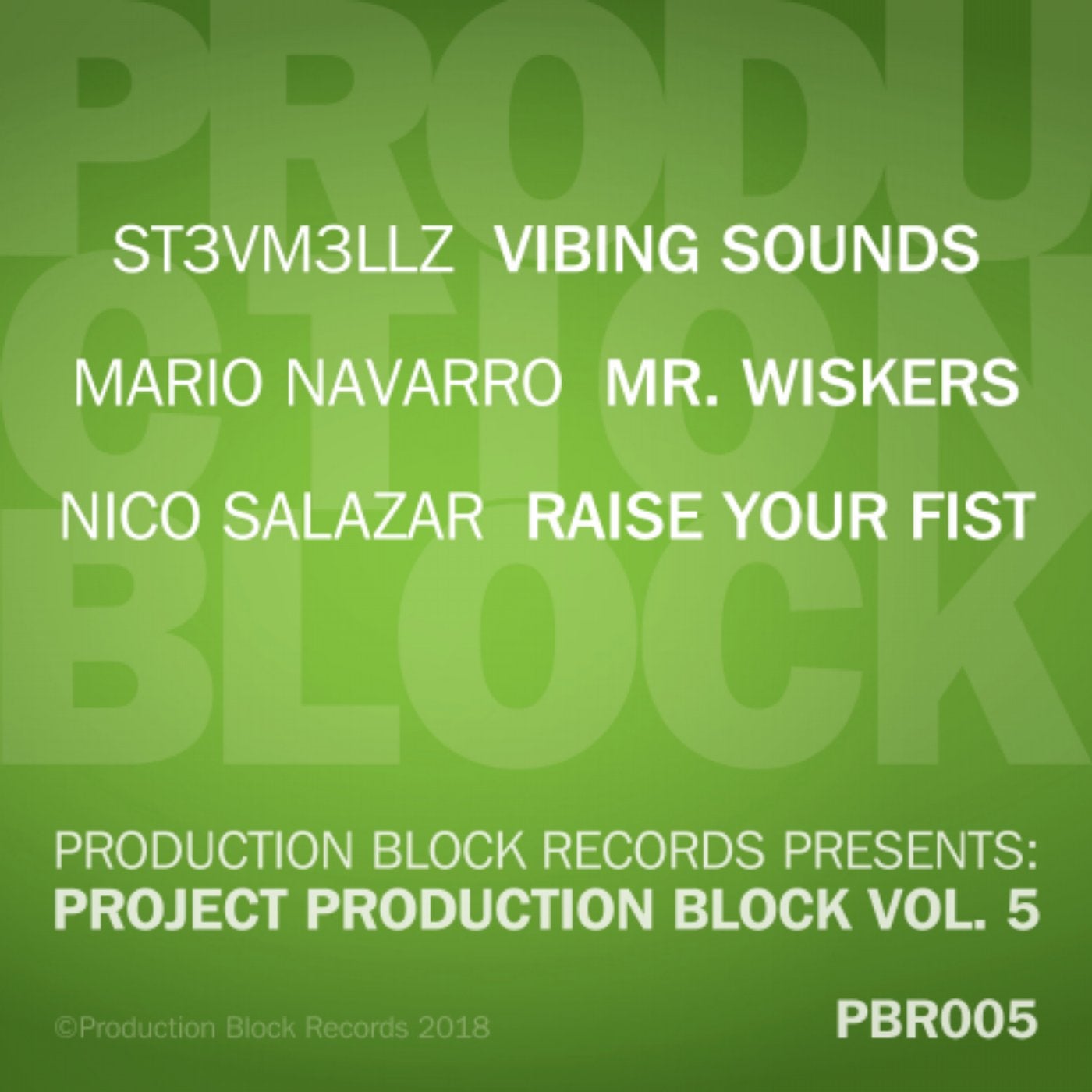 Project Production Block, Vol. 5