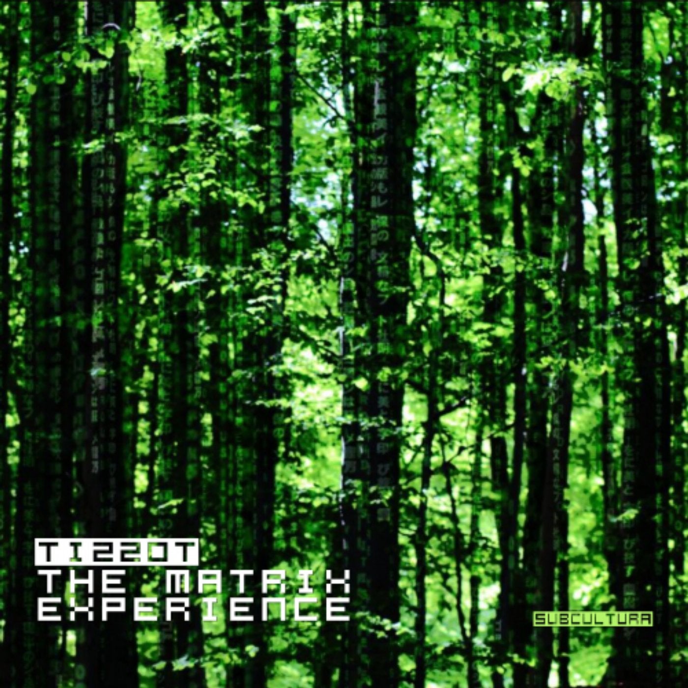 The Matrix Experience