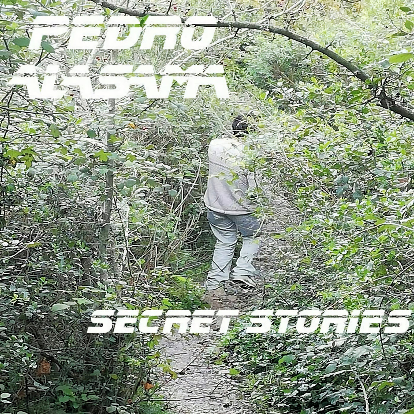 Secret Stories