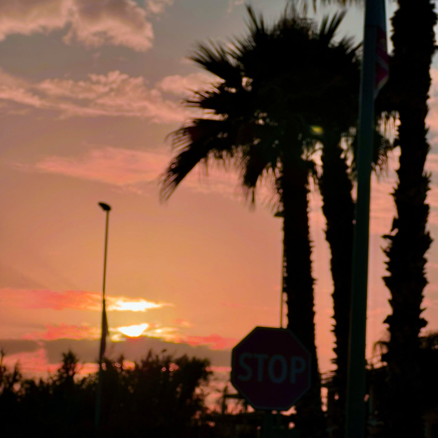 Take Me Somewhere