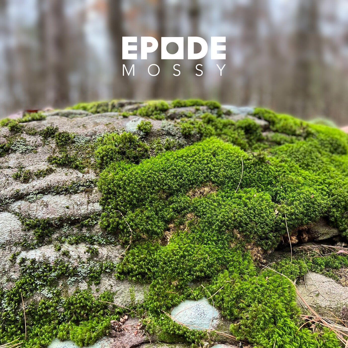 Mossy