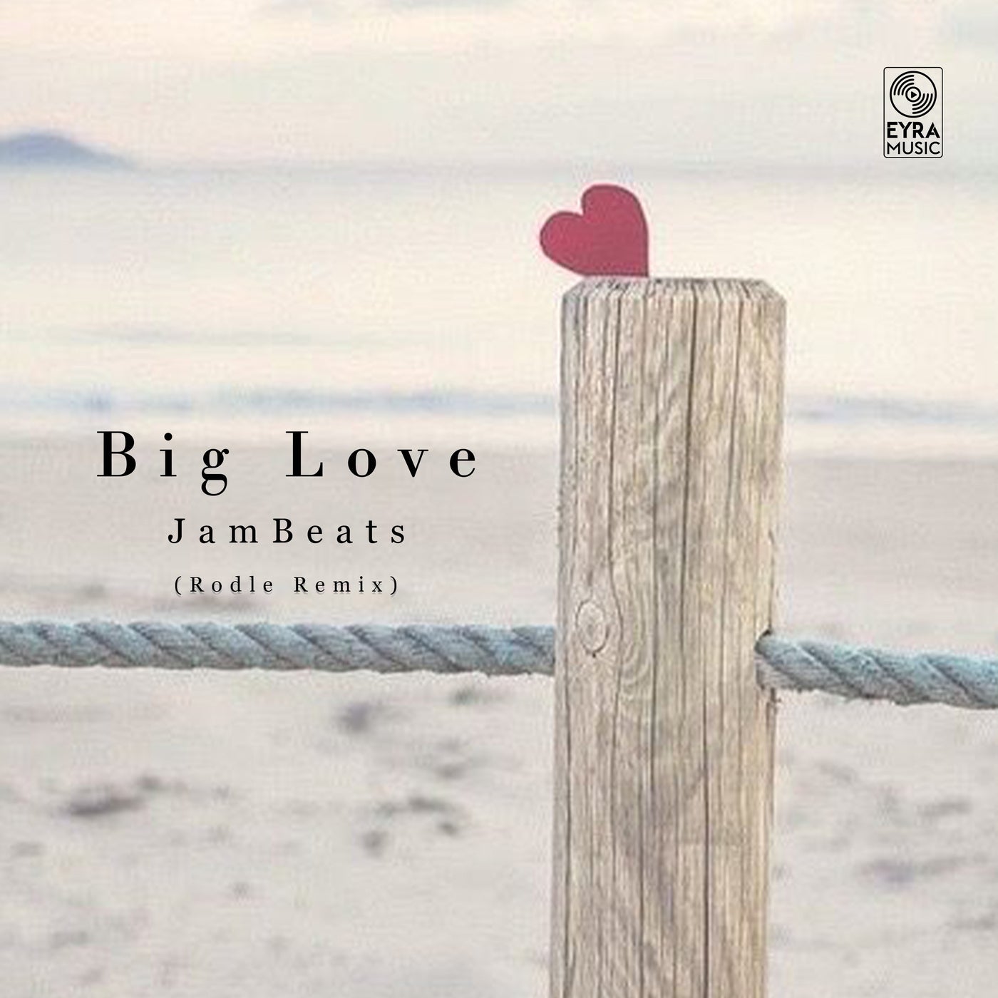 Big Love (Rodle remix)